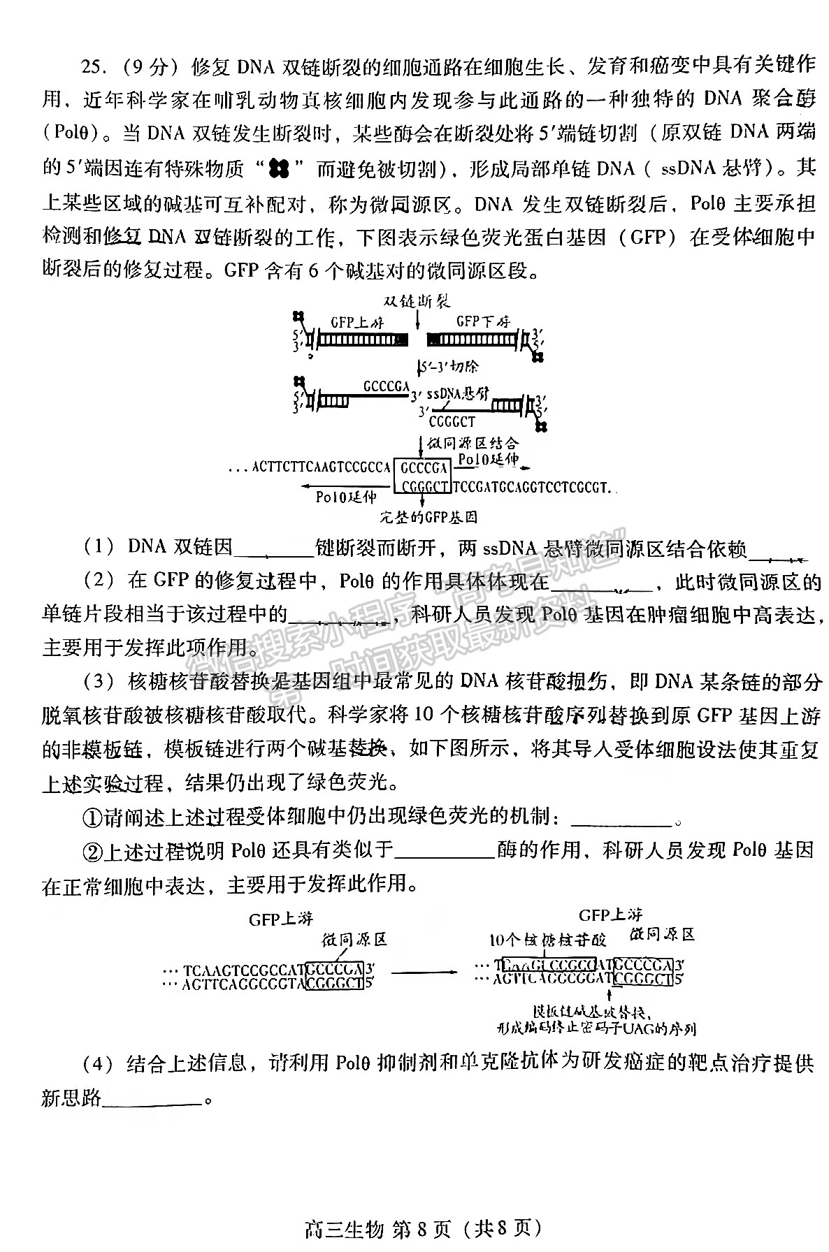 2022山東濰坊二模生物試題及參考答案