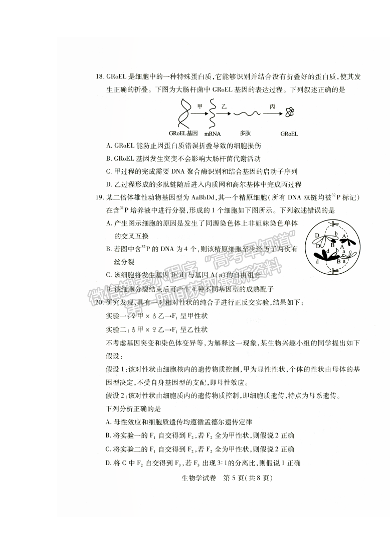 2022湖北武漢4月調(diào)研考試生物試卷及答案