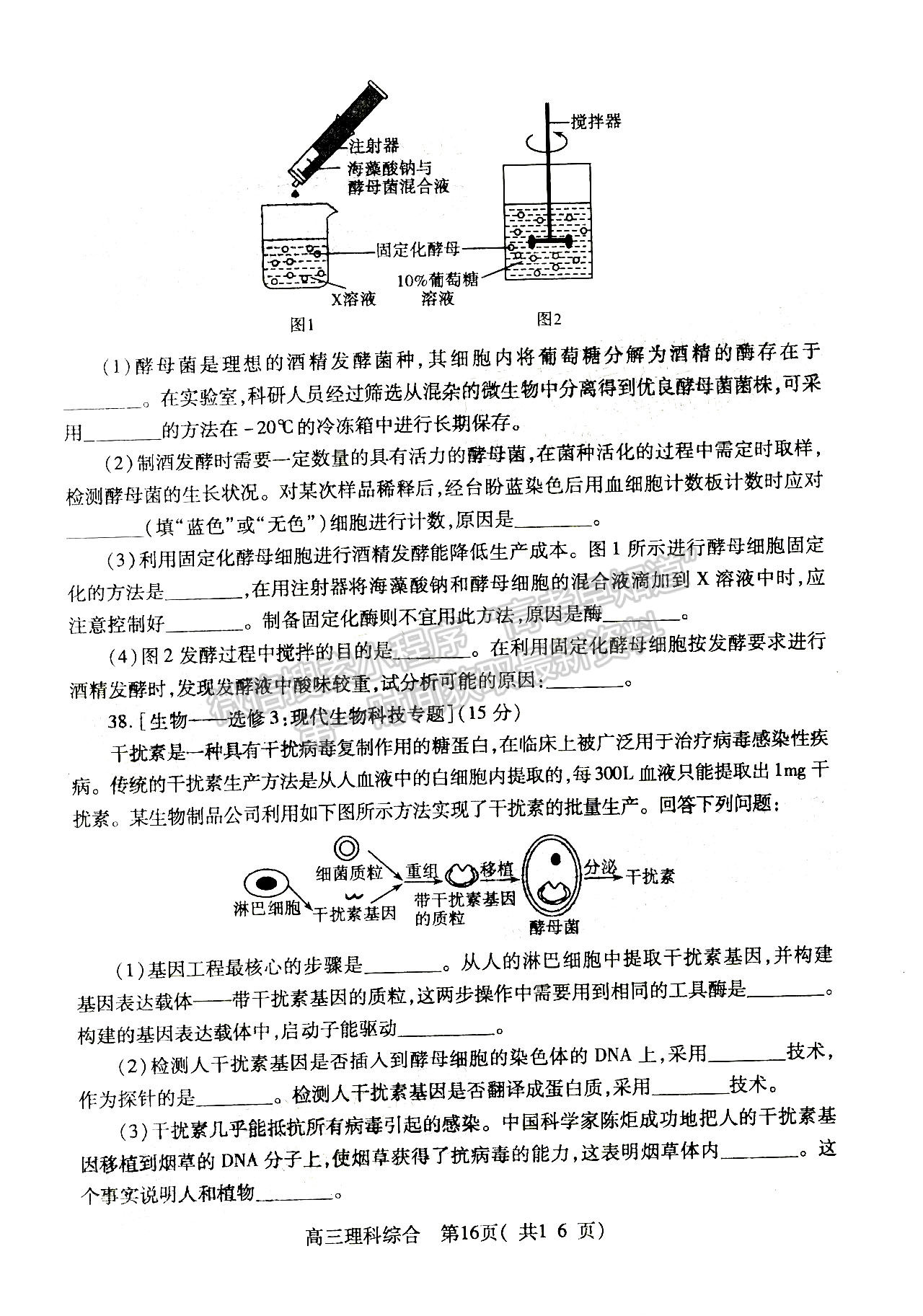 2022河南三市三模理綜試題及參考答案