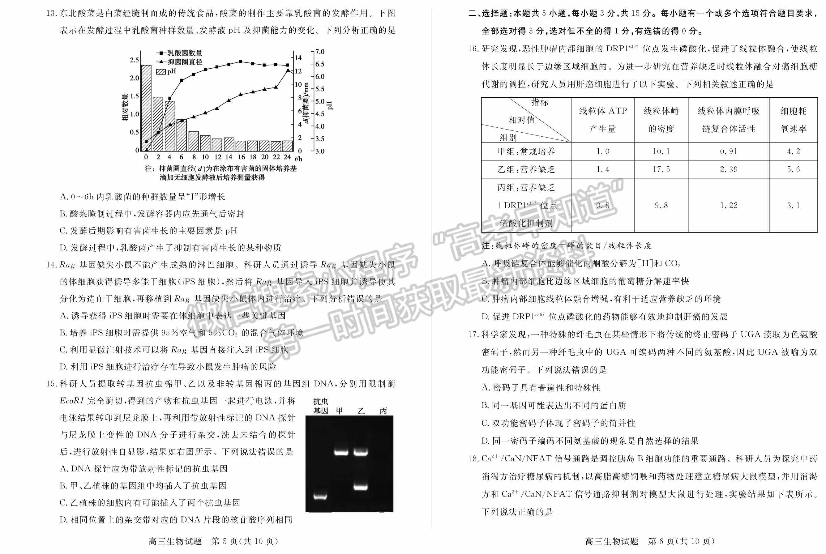 2022山東德州二模生物試題及參考答案