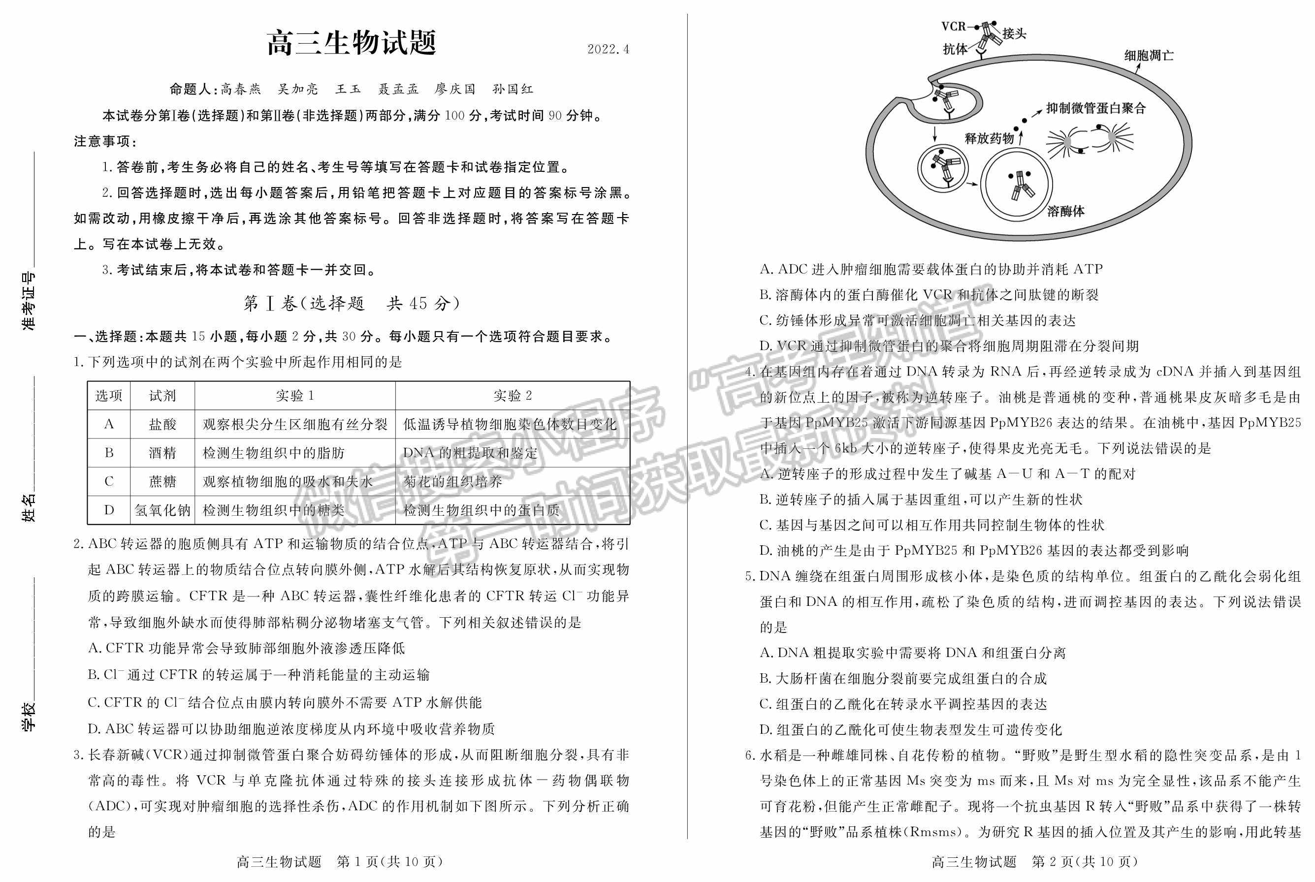 2022山東德州二模生物試題及參考答案