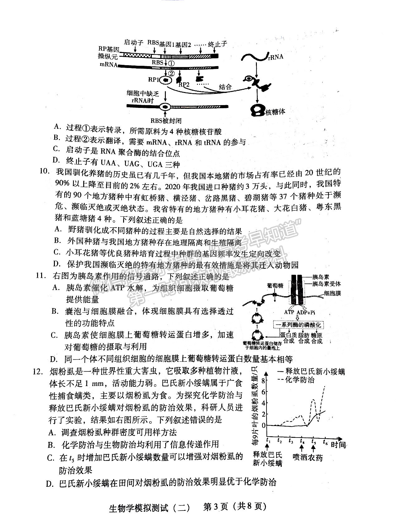 2022廣東二模生物試題及參考答案