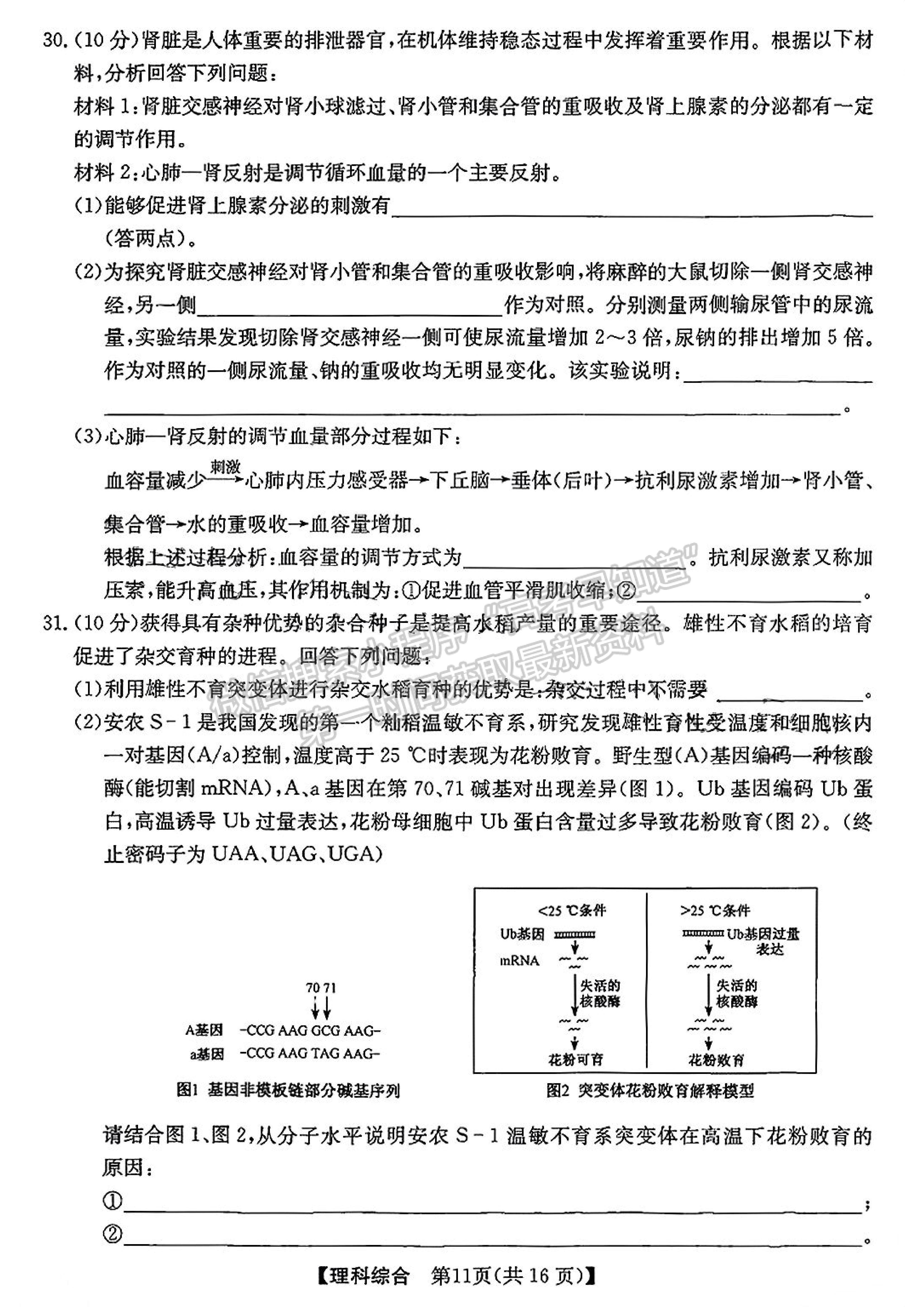 2022安徽合肥六校聯(lián)盟5月聯(lián)考理綜試卷及答案