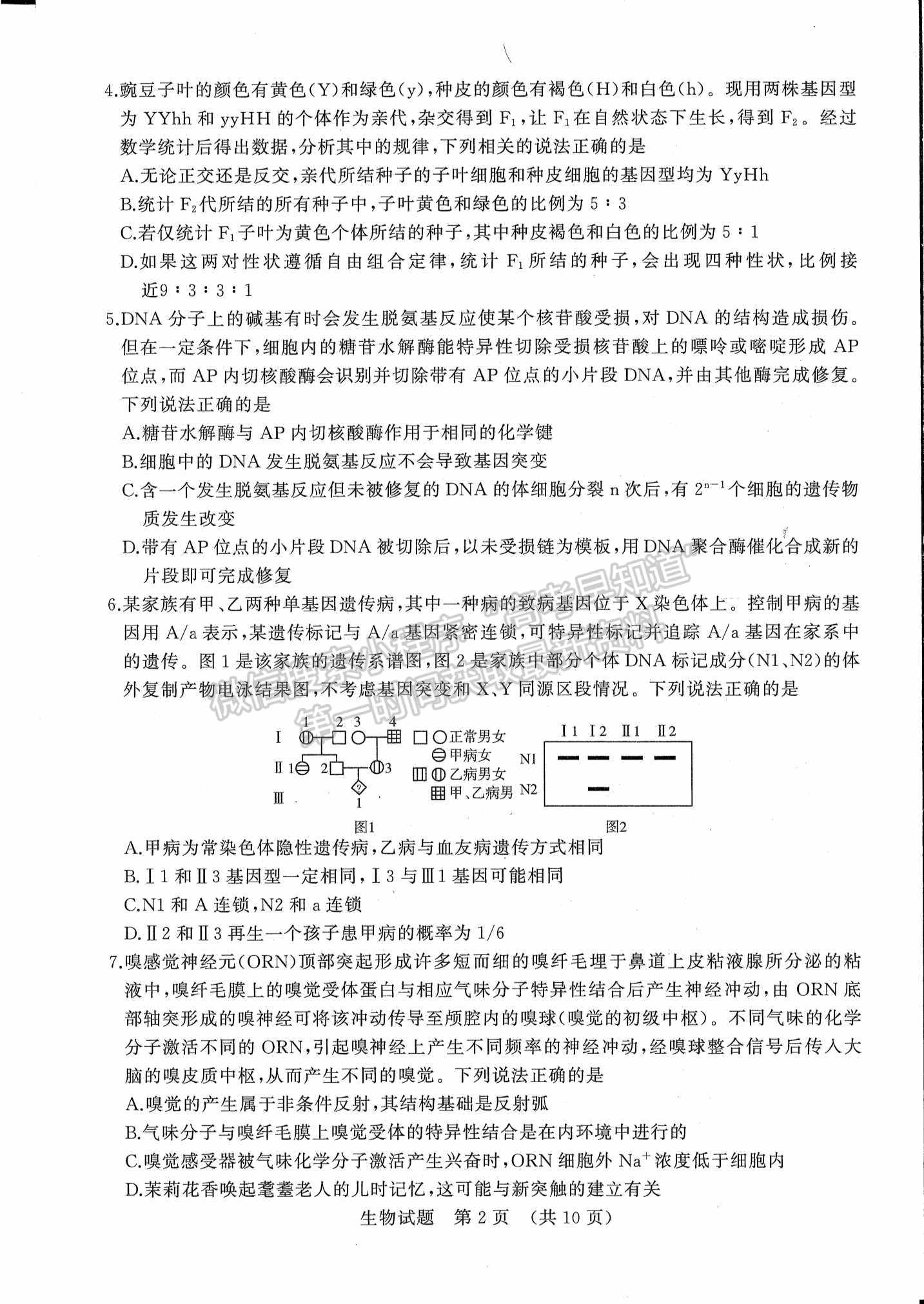 2022山東濟(jì)南二模生物試題及參考答案