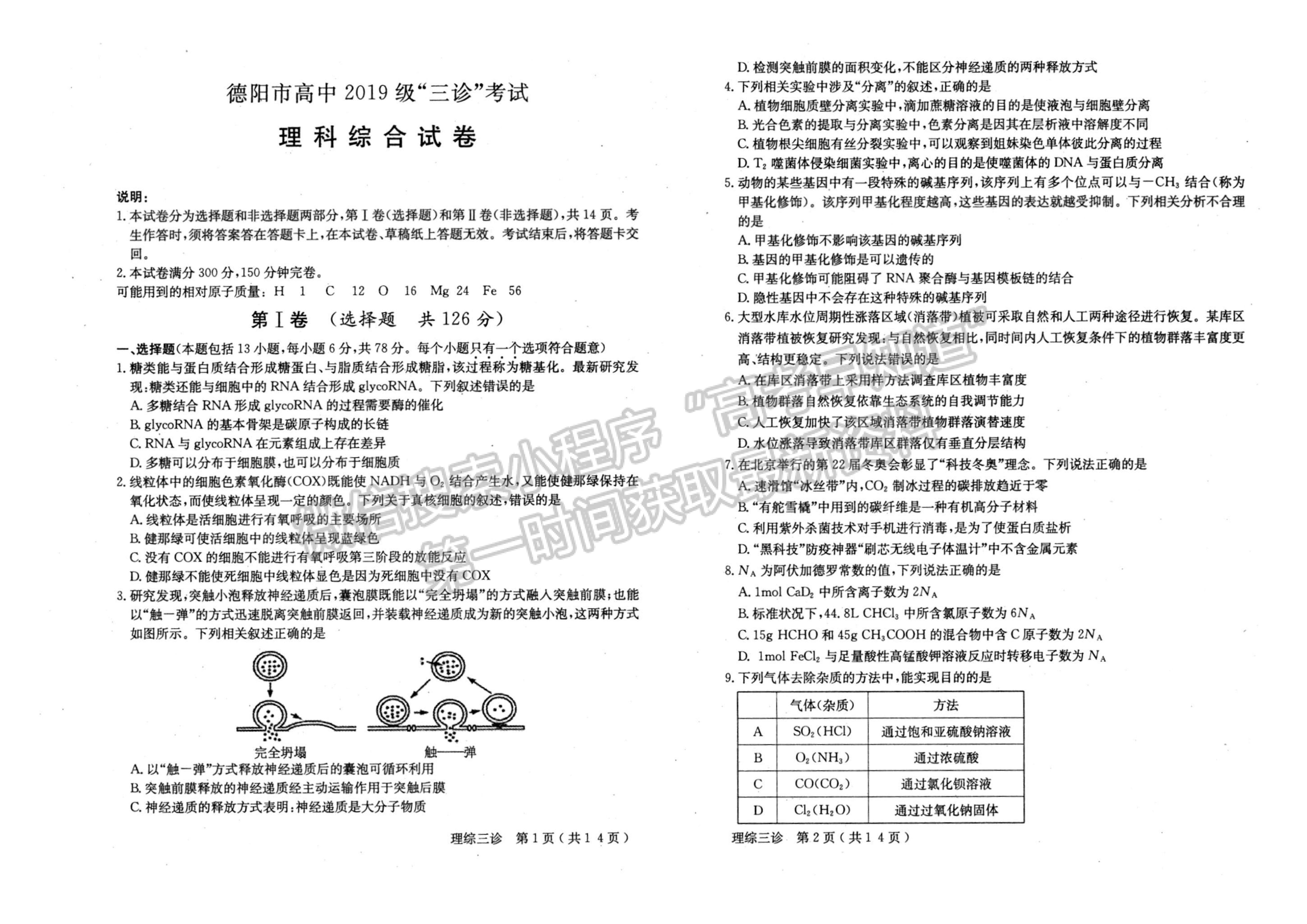 2022四川省德陽市2019級三診考試?yán)砜凭C合試題及答案