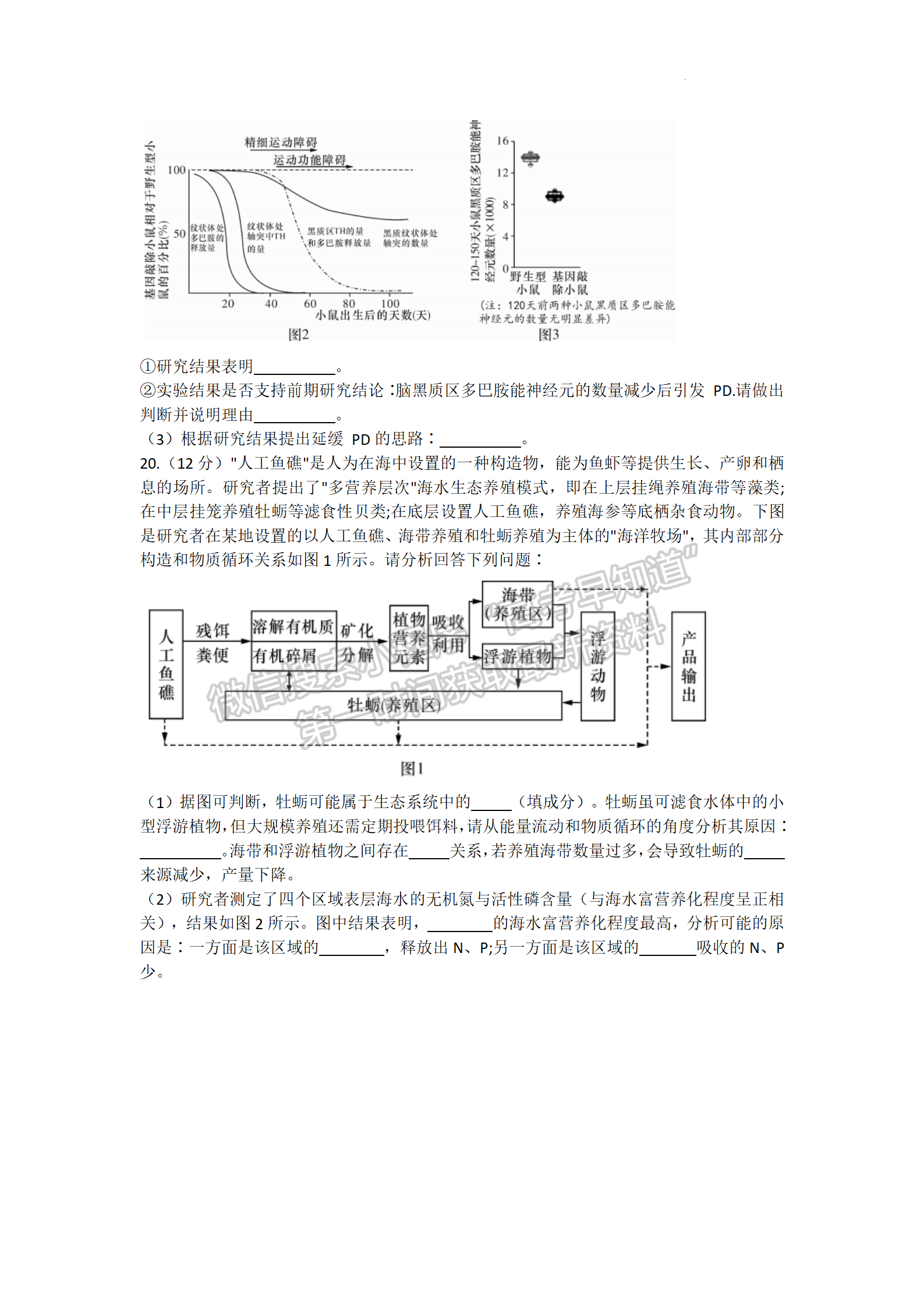 湖南師大附中2022屆模擬卷（二）生物試題及參考答案