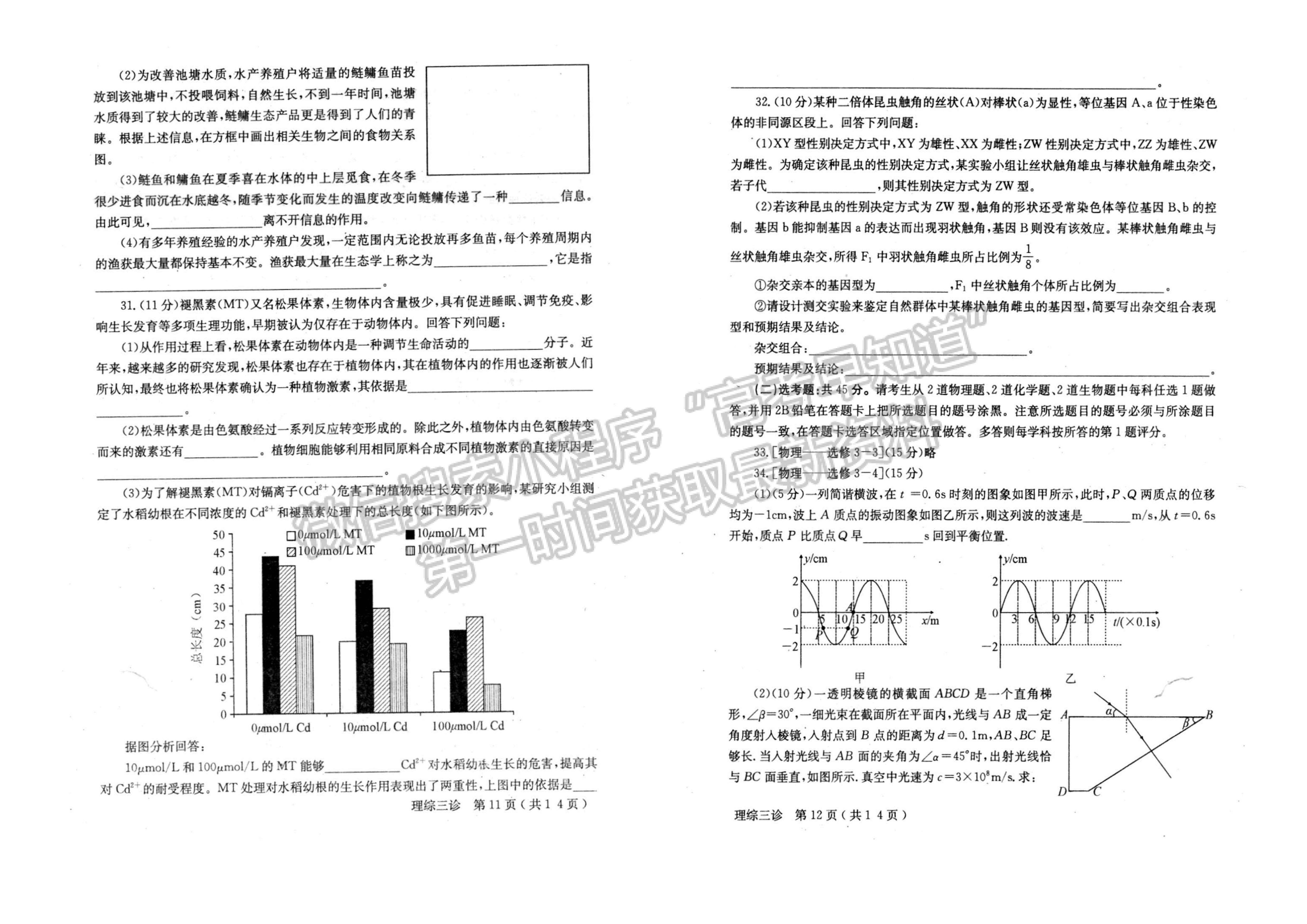 2022四川省德陽市2019級(jí)三診考試?yán)砜凭C合試題及答案