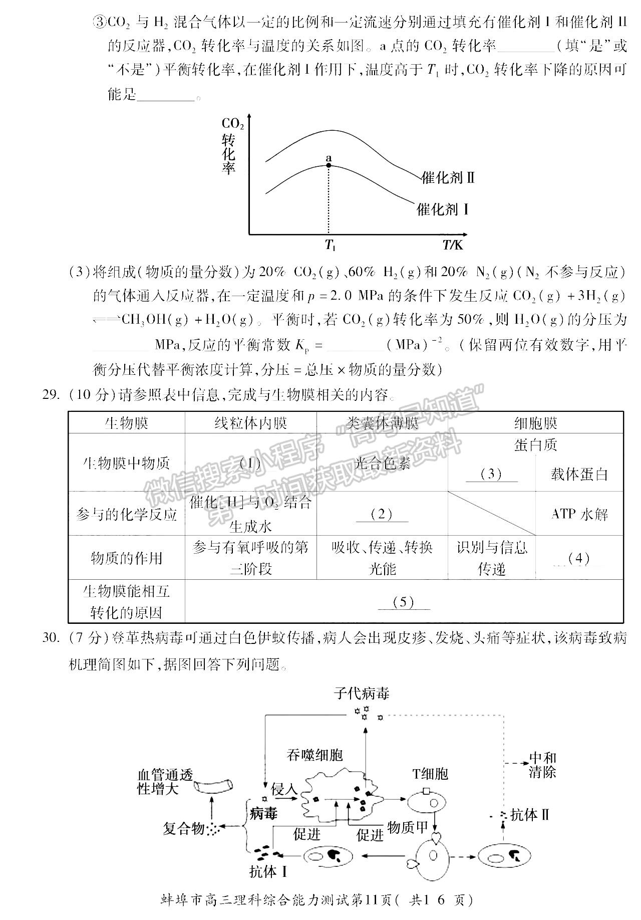 2022安徽蚌埠四模理綜試卷及答案