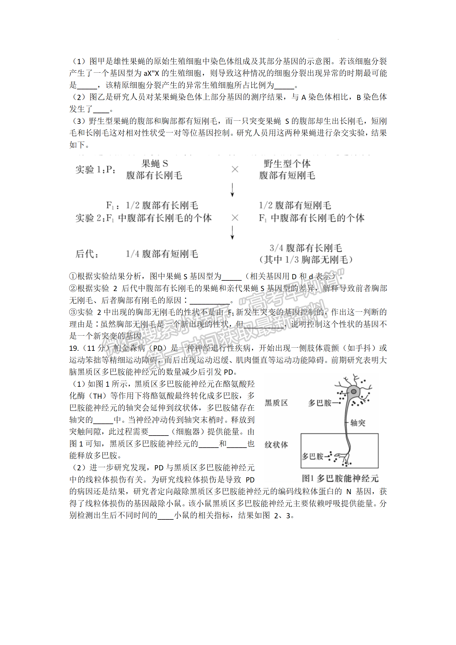 湖南師大附中2022屆模擬卷（二）生物試題及參考答案