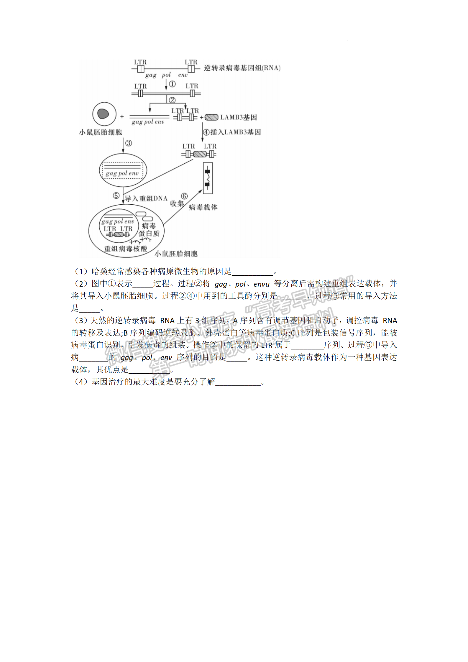 湖南師大附中2022屆模擬卷（二）生物試題及參考答案