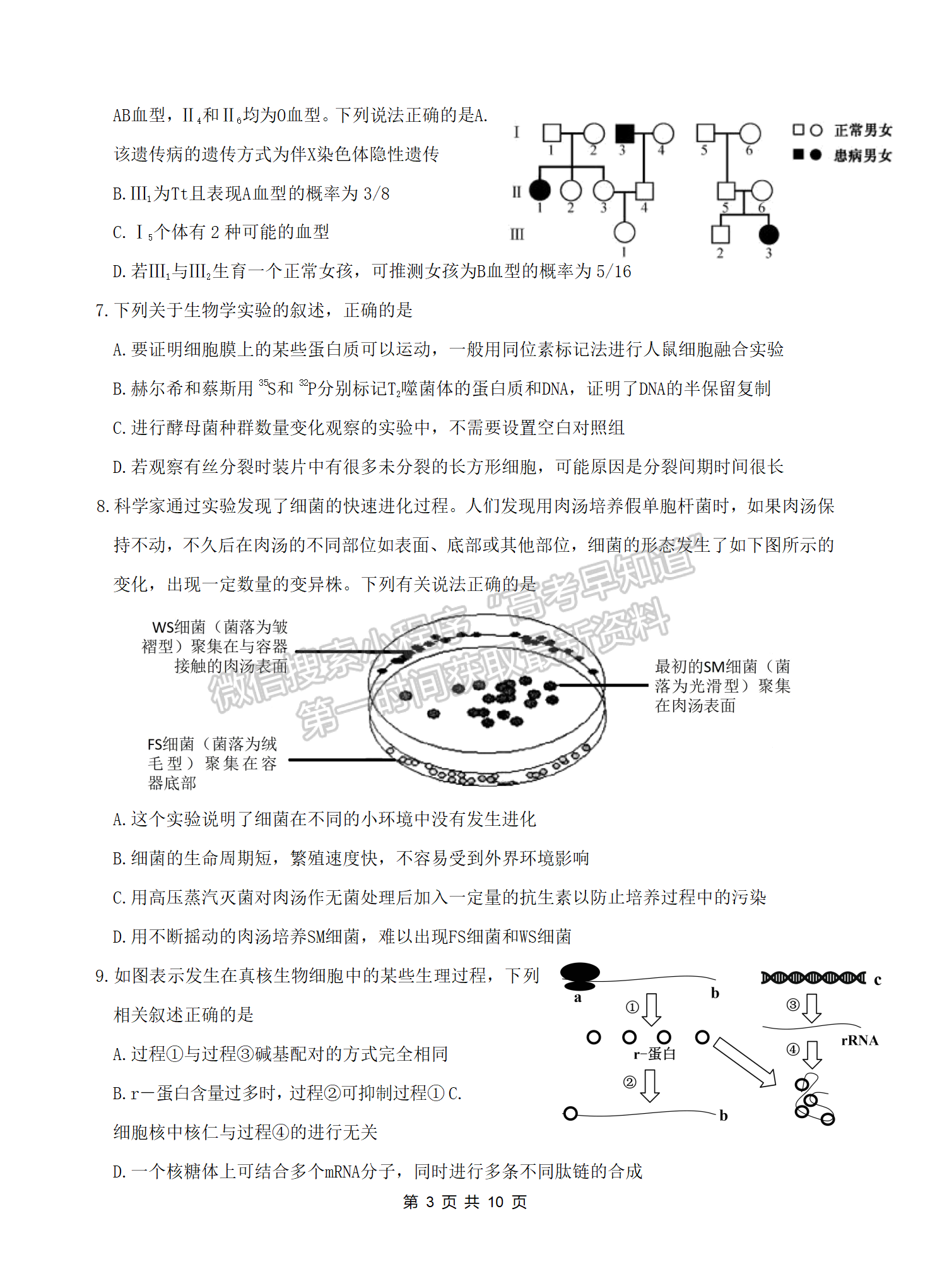 2022湖北四校模擬聯(lián)考生物試卷及答案