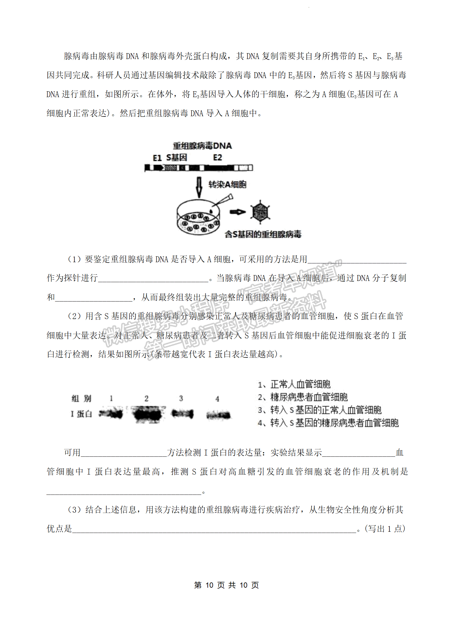 2022湖北四校模擬聯(lián)考生物試卷及答案