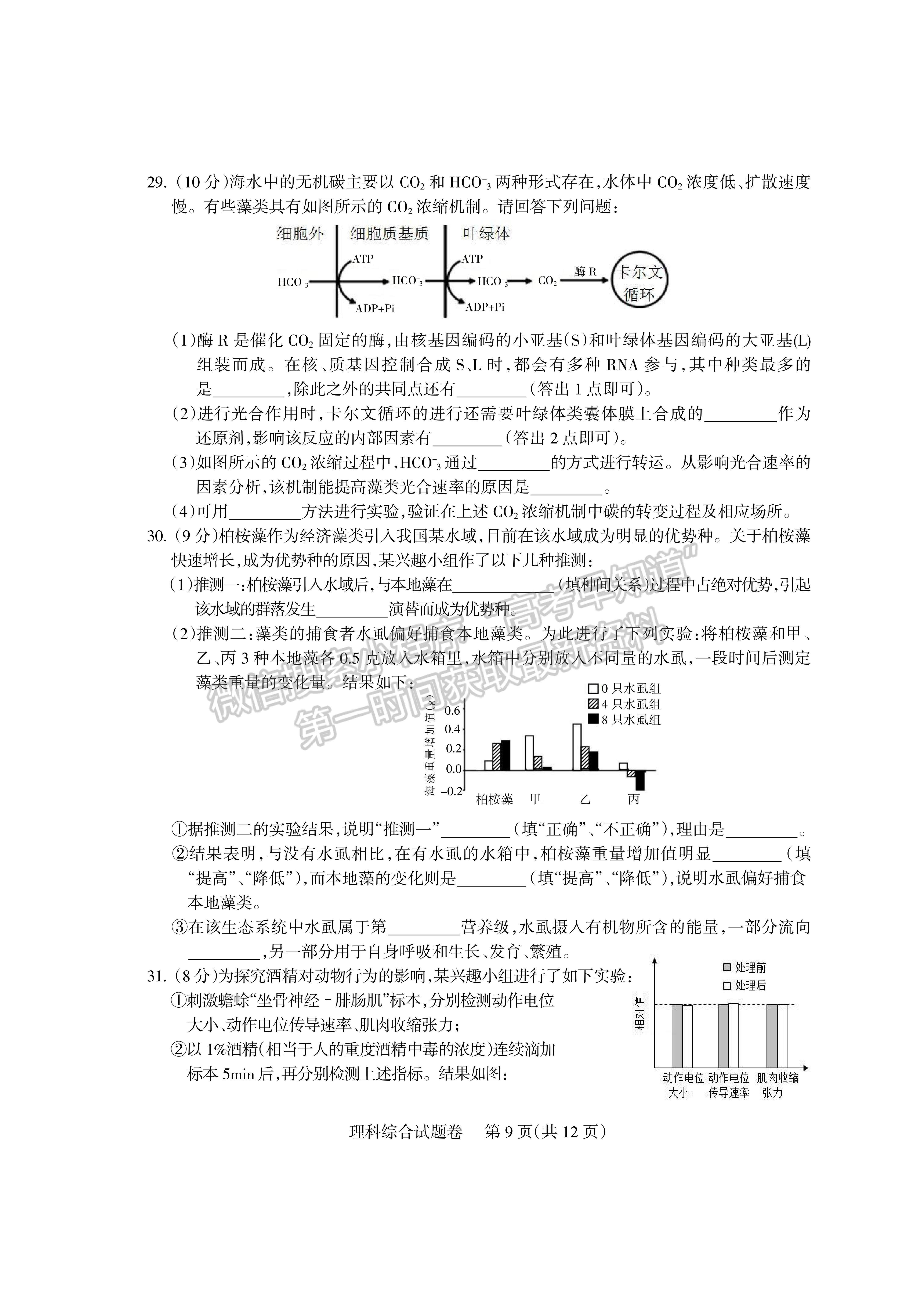 2022四川省涼山州2022屆高中畢業(yè)班第三次診斷性檢測(cè)理科綜合試題及答案