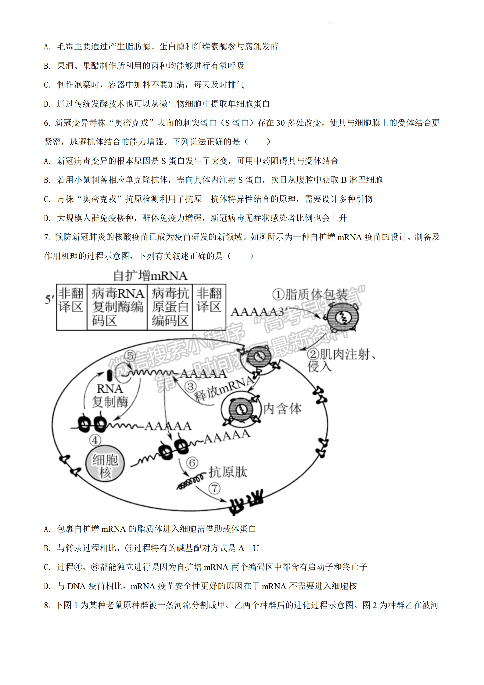 2022屆江蘇省鹽城市阜寧中學(xué)高三下學(xué)期期中考生物試題及參考答案