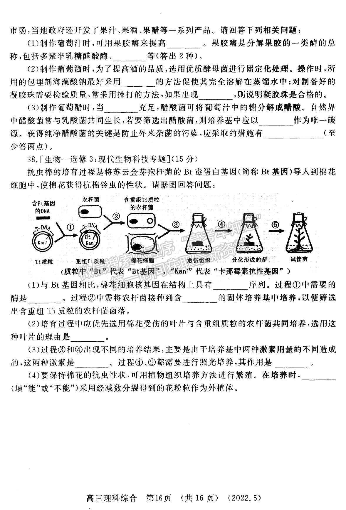 2022河南洛陽(yáng)市高三第三次統(tǒng)一考試?yán)砭C試卷及答案