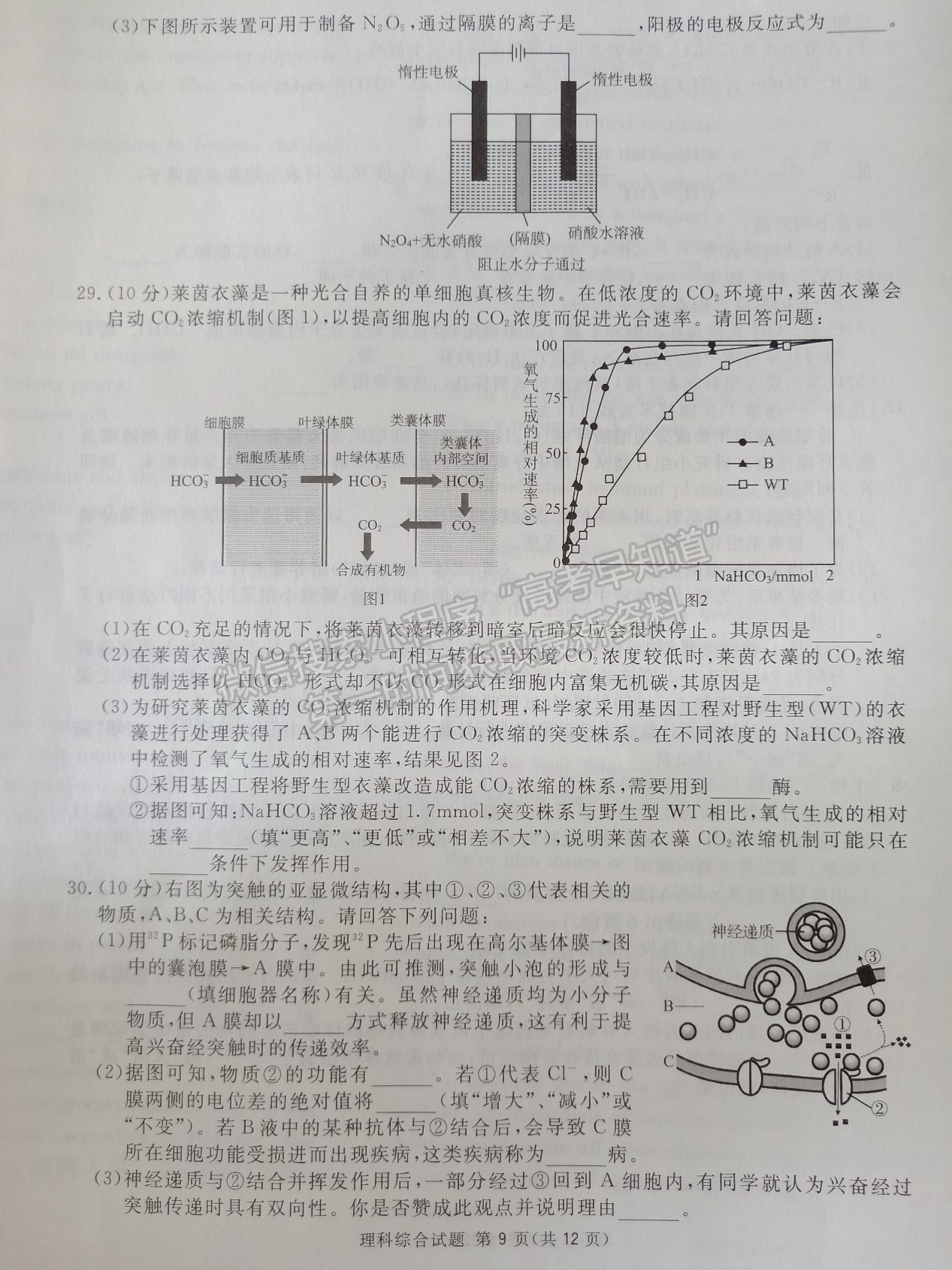 2022四川省眉山市普通高中2019級(jí)第三次診斷性測(cè)試?yán)砜凭C合試題及答案