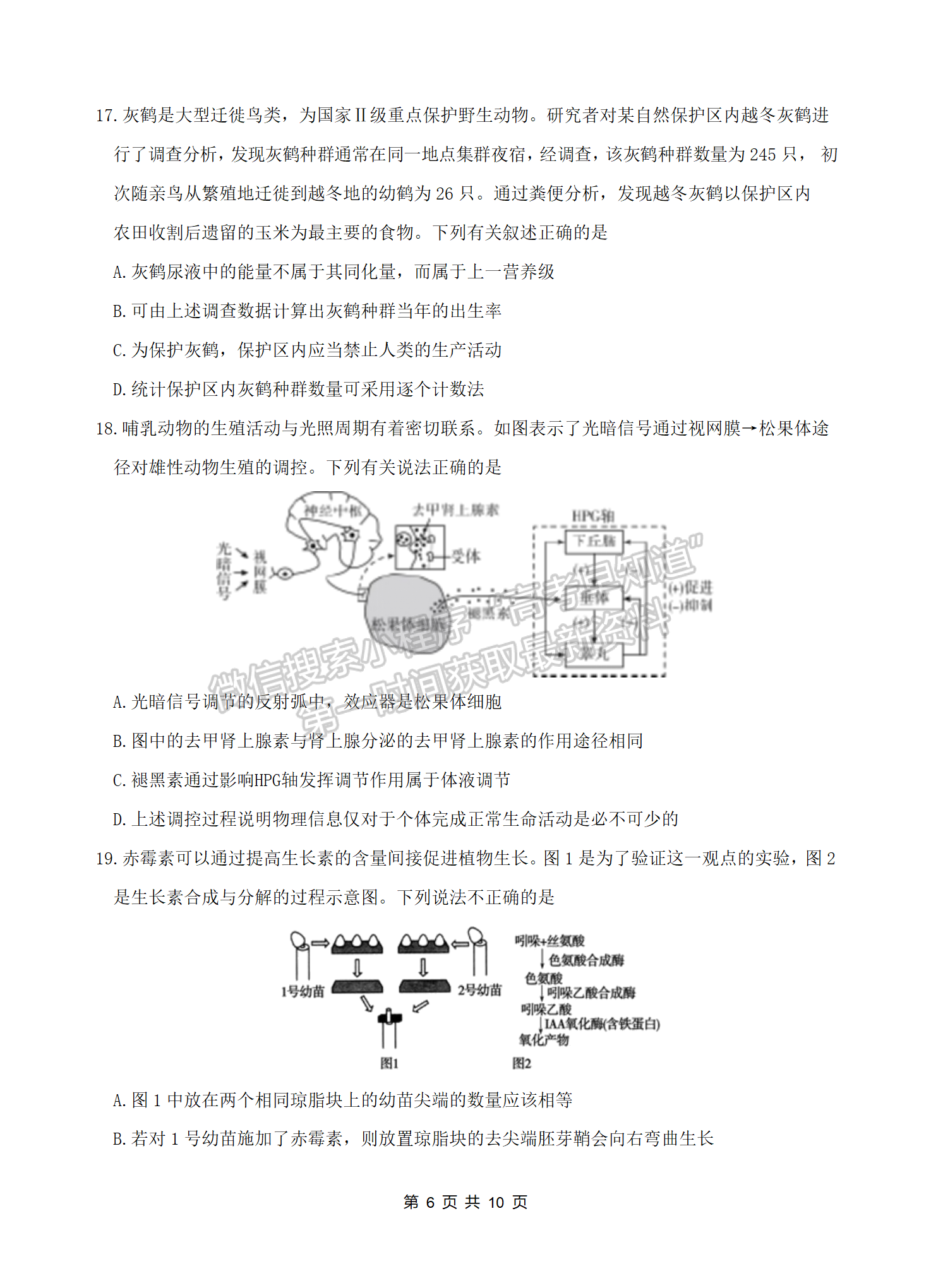 2022湖北四校模擬聯(lián)考生物試卷及答案