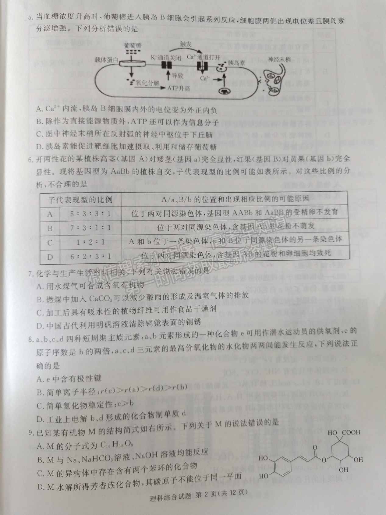 2022四川省眉山市普通高中2019級第三次診斷性測試理科綜合試題及答案