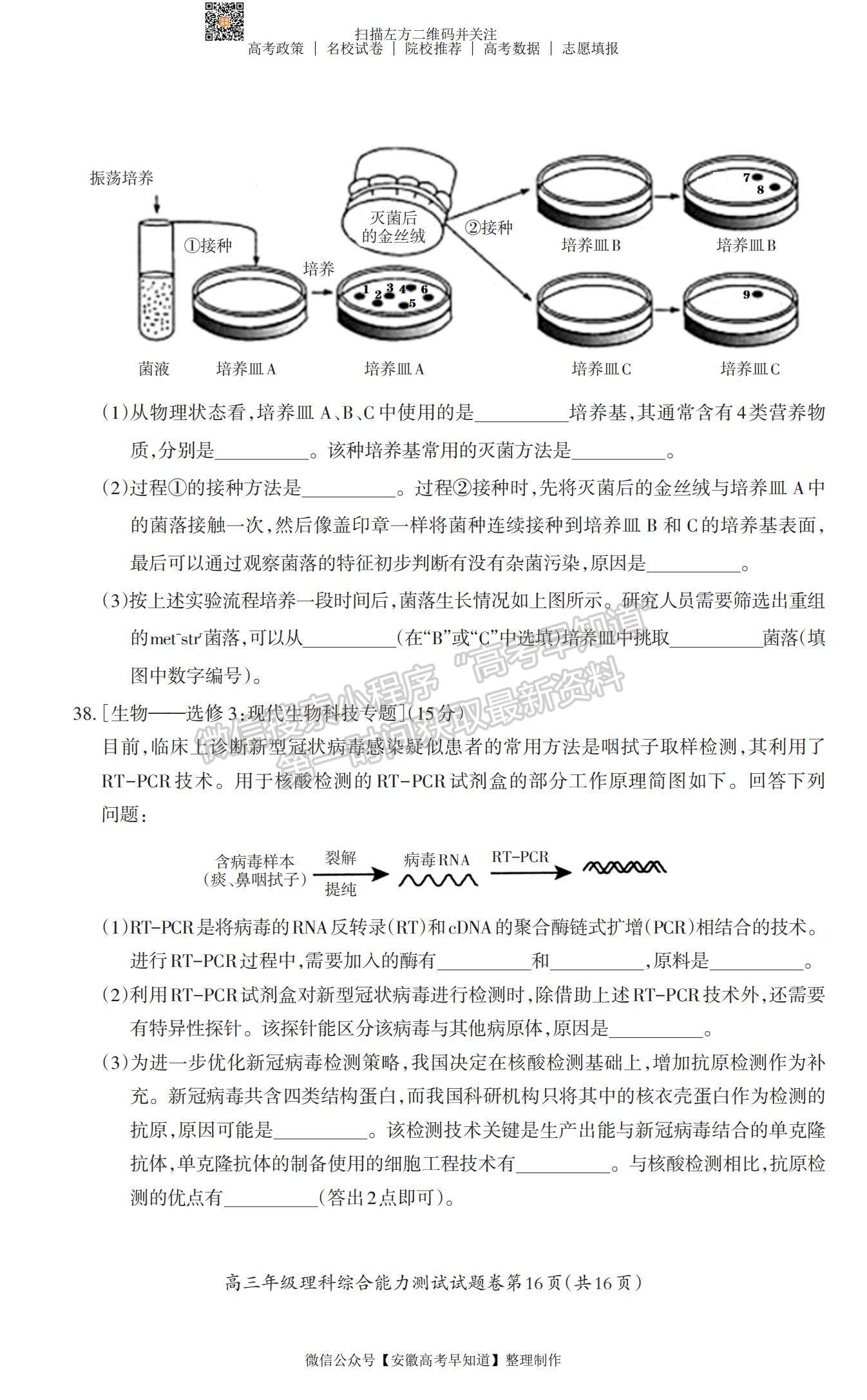 2022安徽蕪湖二模理綜試卷及答案