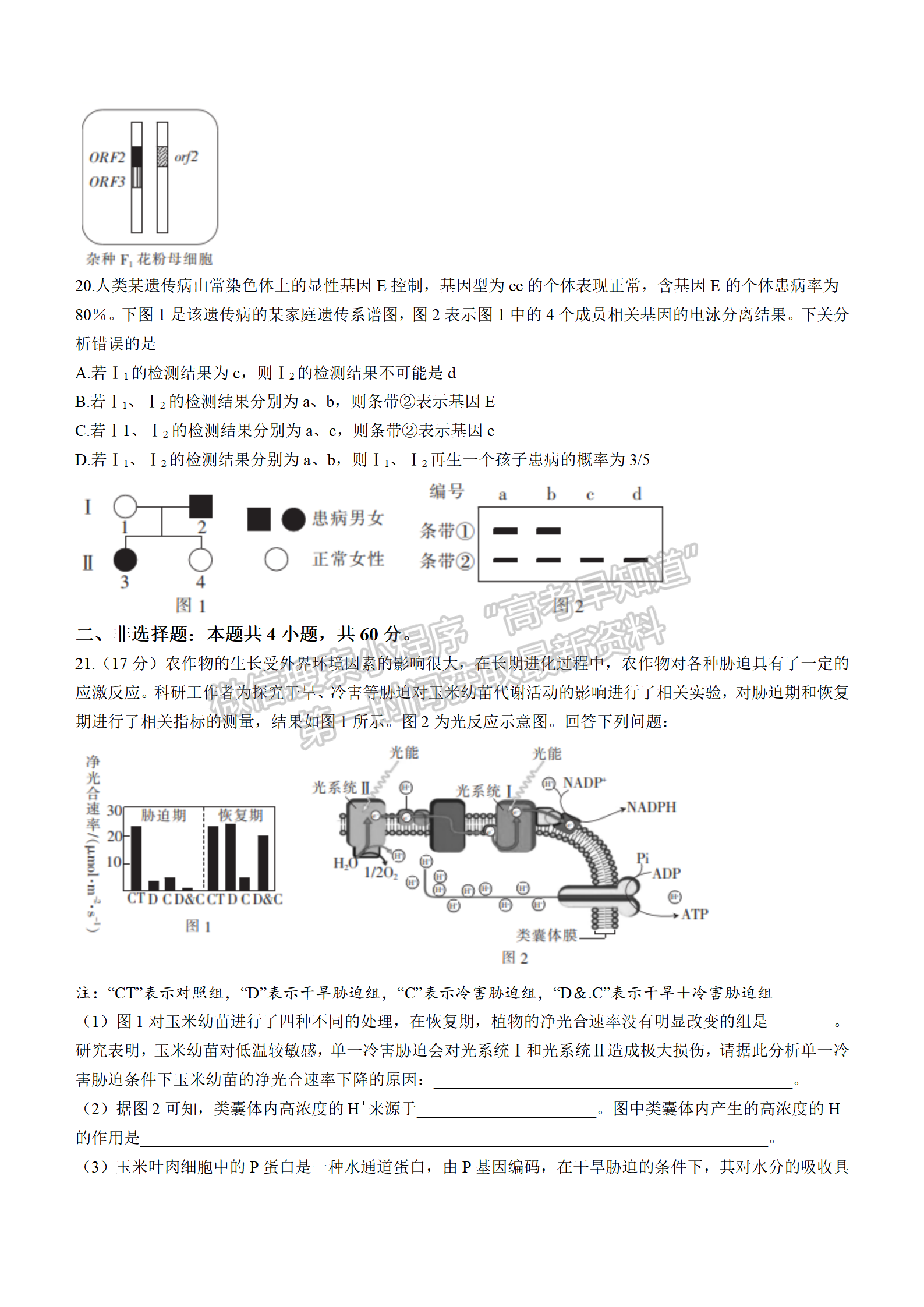 2022湖北十堰市4月調(diào)研考試生物試卷及答案