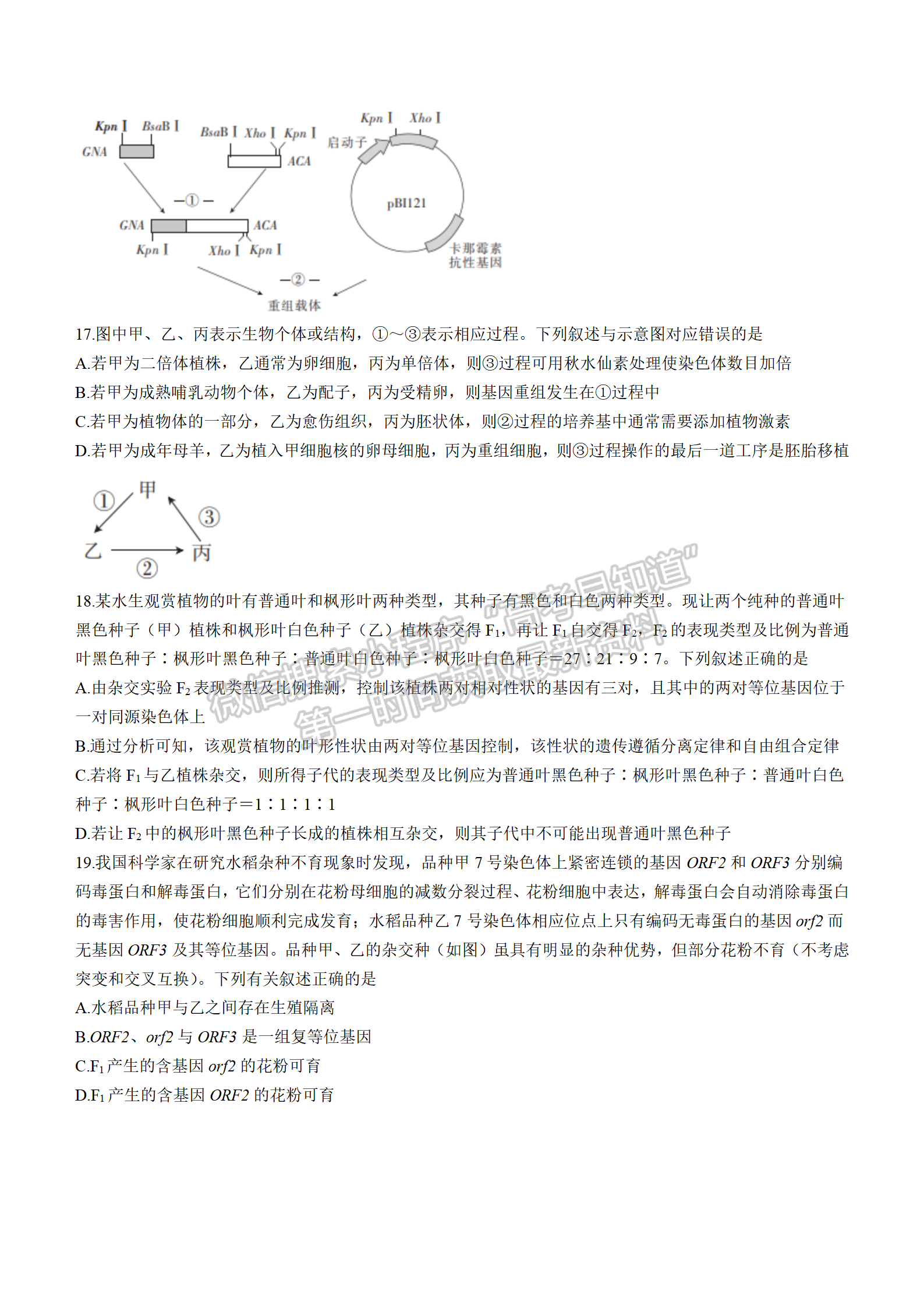 2022湖北十堰市4月調(diào)研考試生物試卷及答案