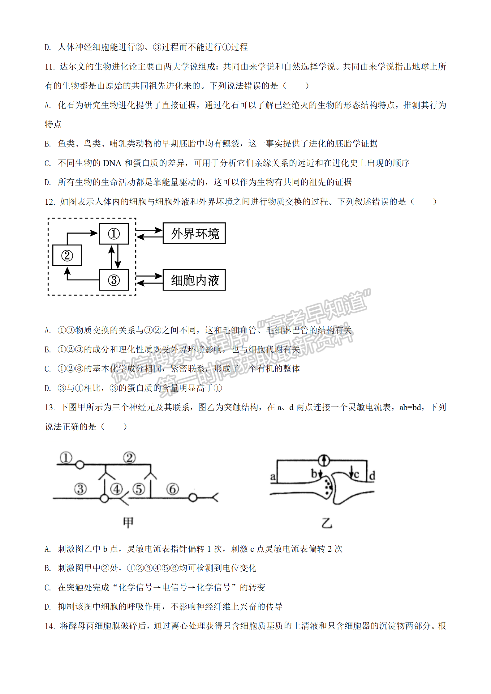 2022湖北華大新高考聯(lián)盟4月質(zhì)量測評生物試卷及答案