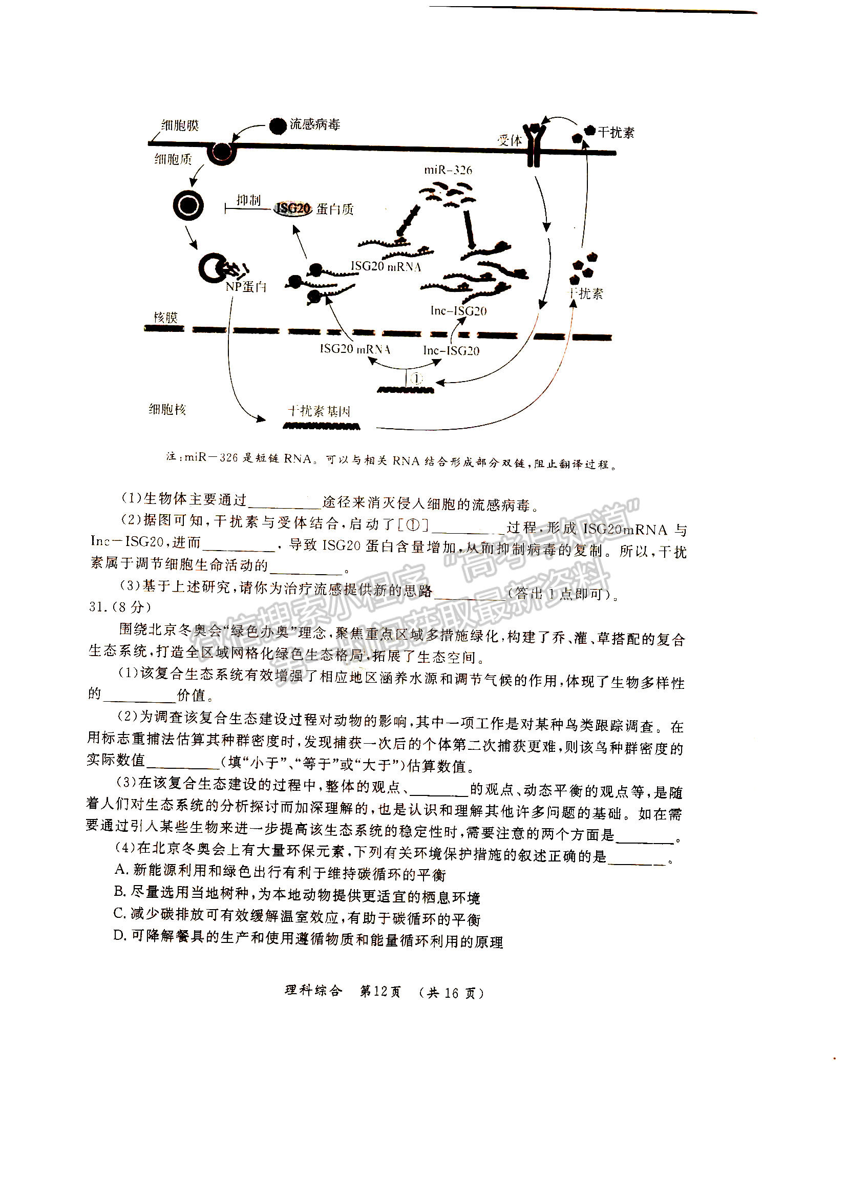 2022河南開封市高三第三次模擬考試?yán)砭C試卷及答案