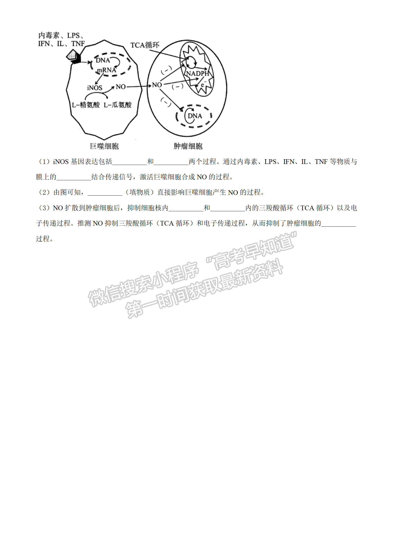 2022湖北華大新高考聯(lián)盟4月質(zhì)量測(cè)評(píng)生物試卷及答案