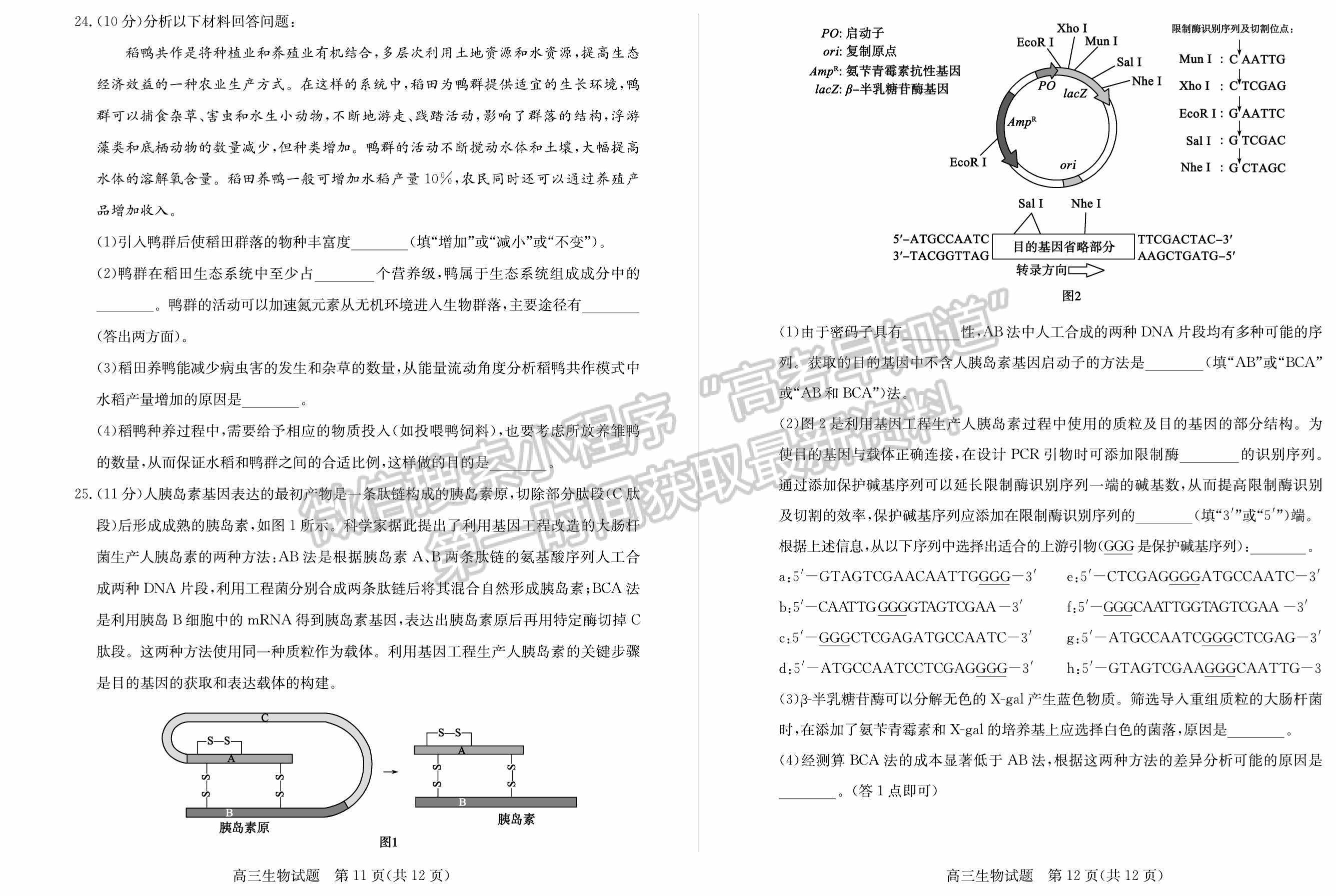 2022山東濱州二模生物試題及參考答案