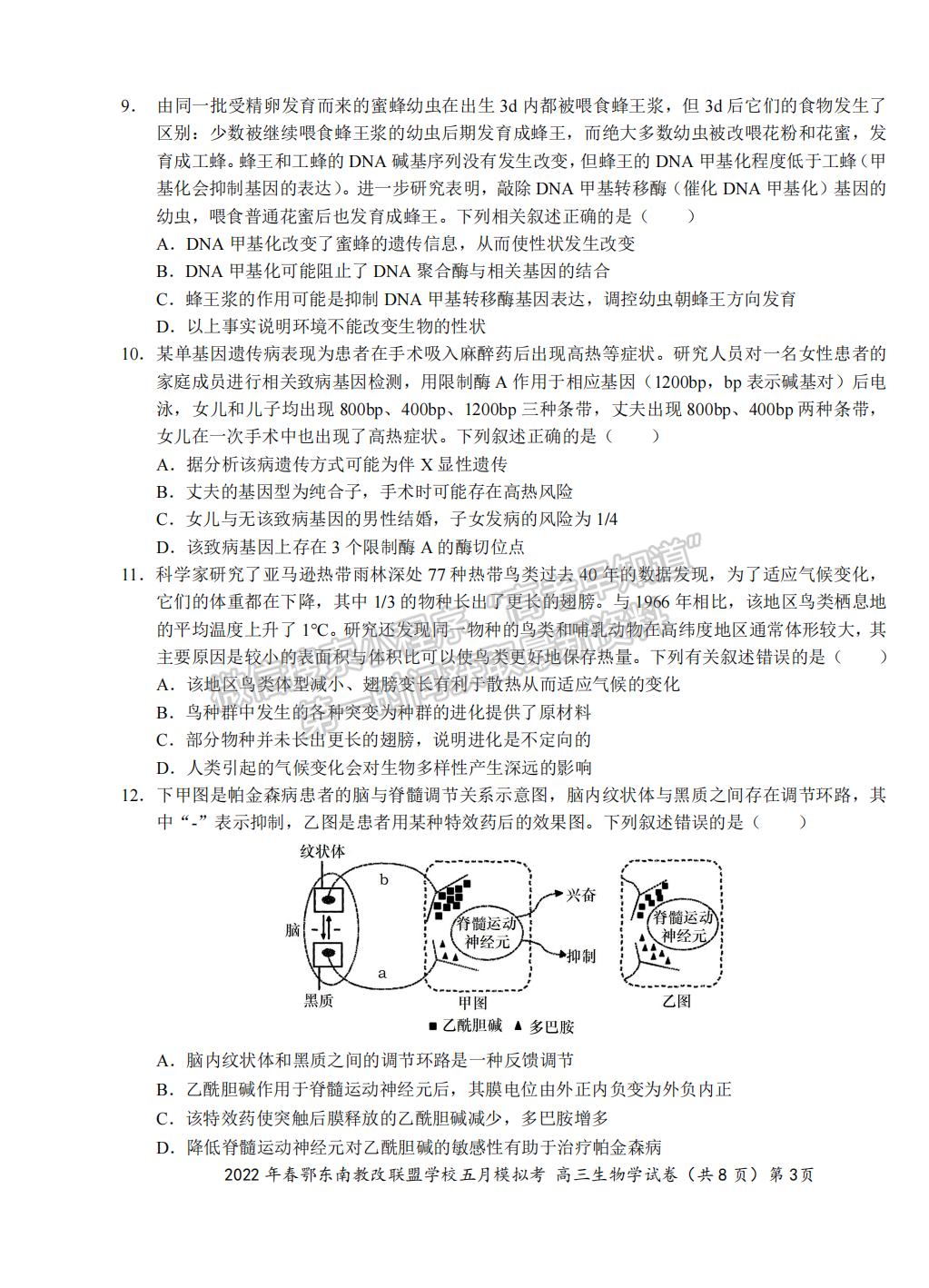 2022湖北鄂東南5月模擬考生物試卷及答案