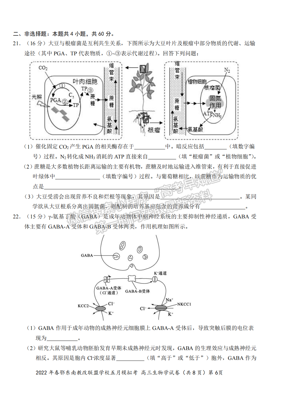 2022湖北鄂東南5月模擬考生物試卷及答案