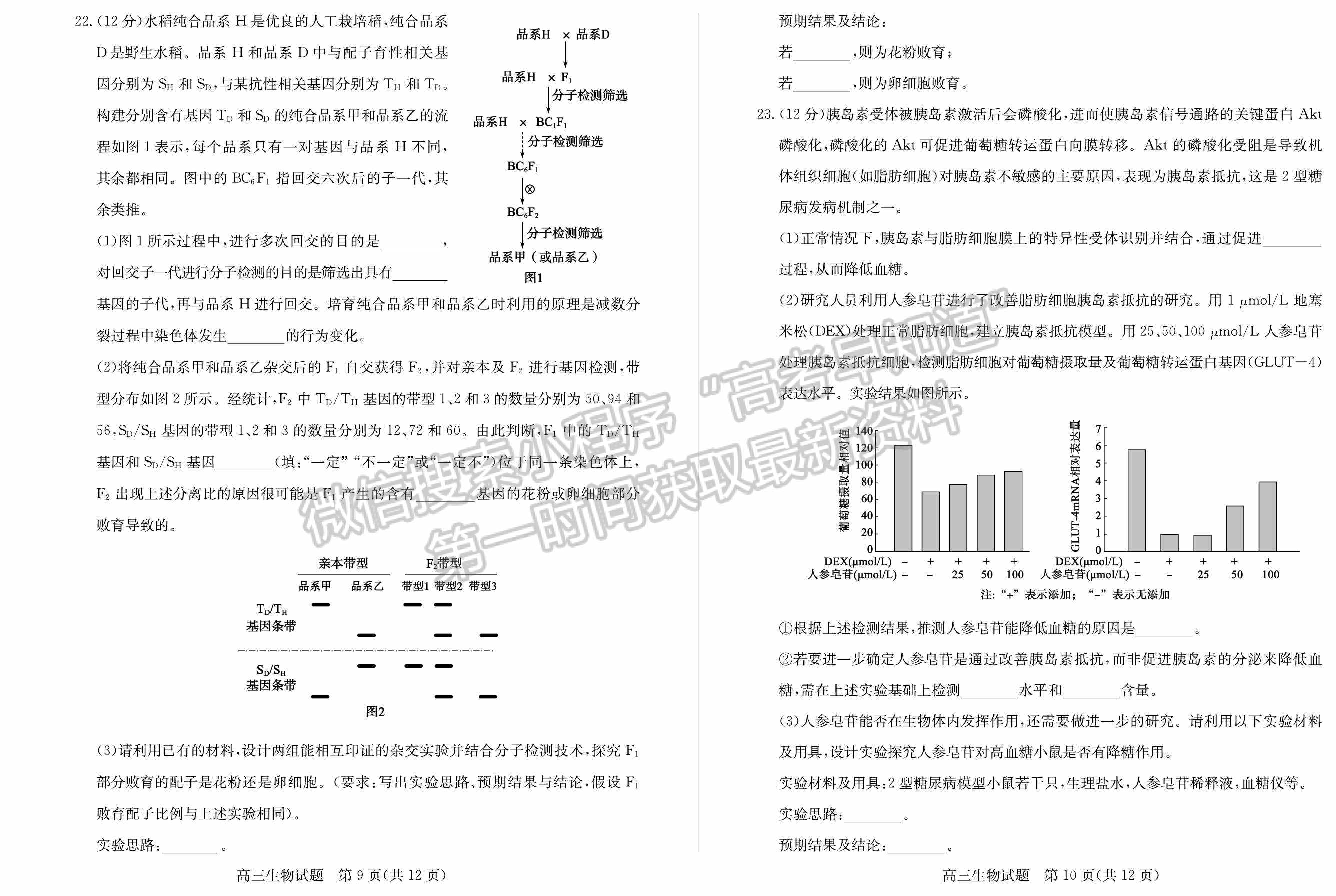 2022山東濱州二模生物試題及參考答案