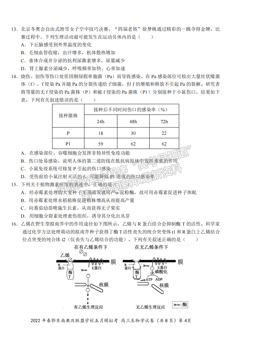 2022湖北鄂東南5月模擬考生物試卷及答案