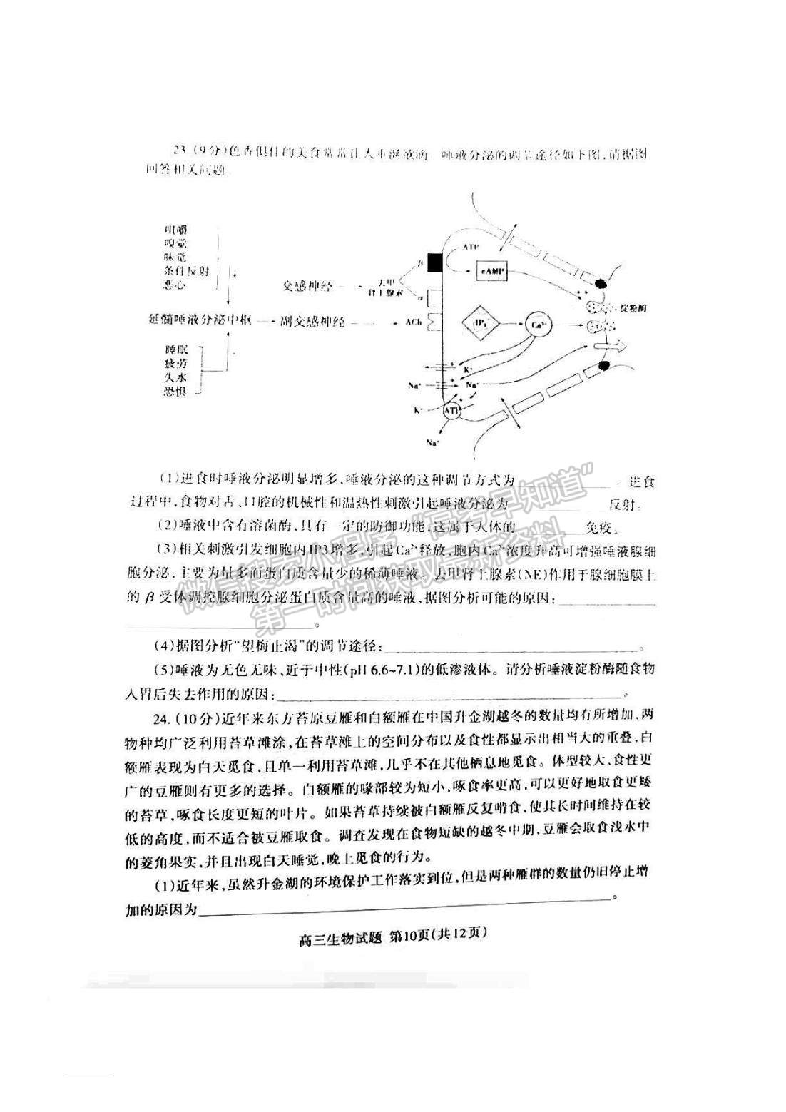 2022山東泰安三模生物試題及參考答案