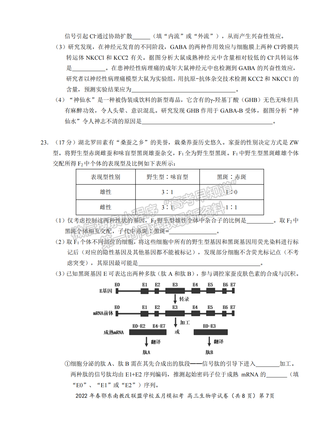 2022湖北鄂東南5月模擬考生物試卷及答案