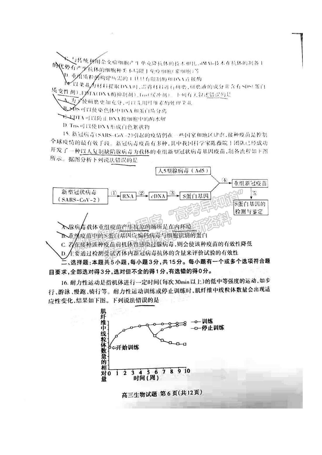 2022山東泰安三模生物試題及參考答案