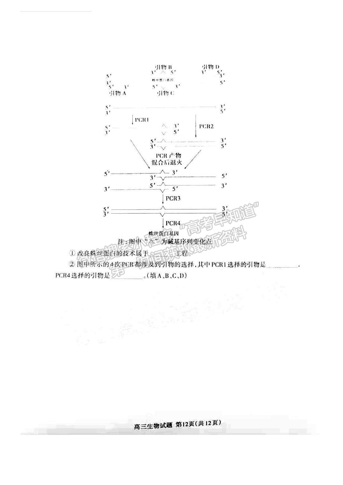 2022山東泰安三模生物試題及參考答案