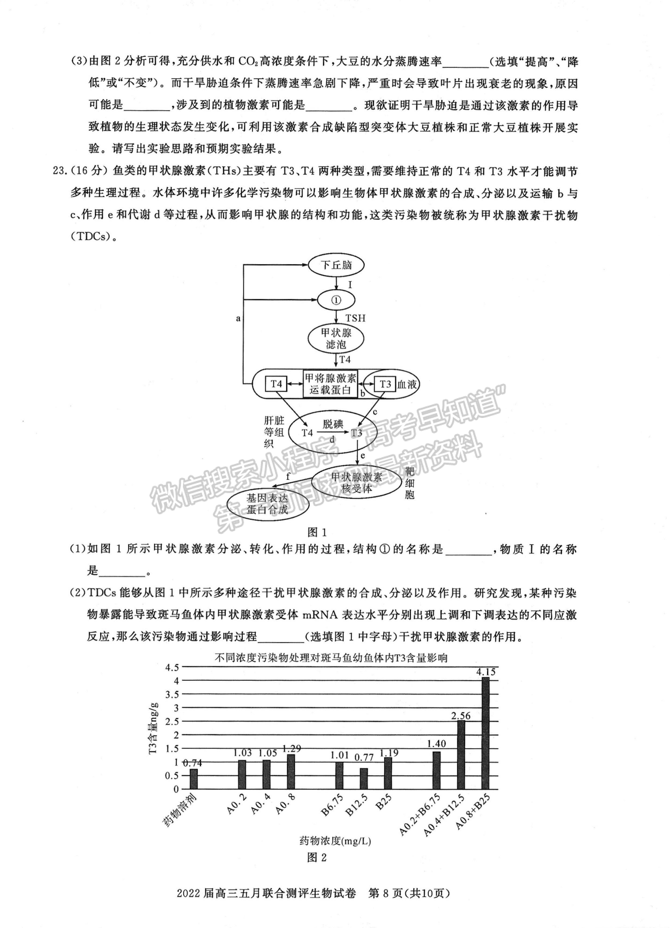 2022湖北圓創(chuàng)5月聯(lián)合測評生物試卷及答案