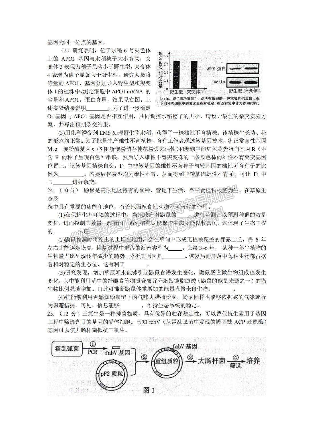 2022山東煙臺二模生物試題及參考答案