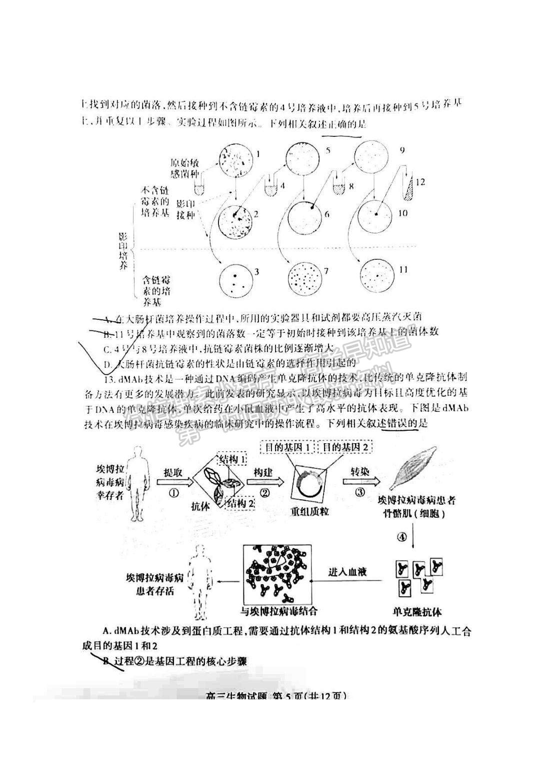 2022山東泰安三模生物試題及參考答案