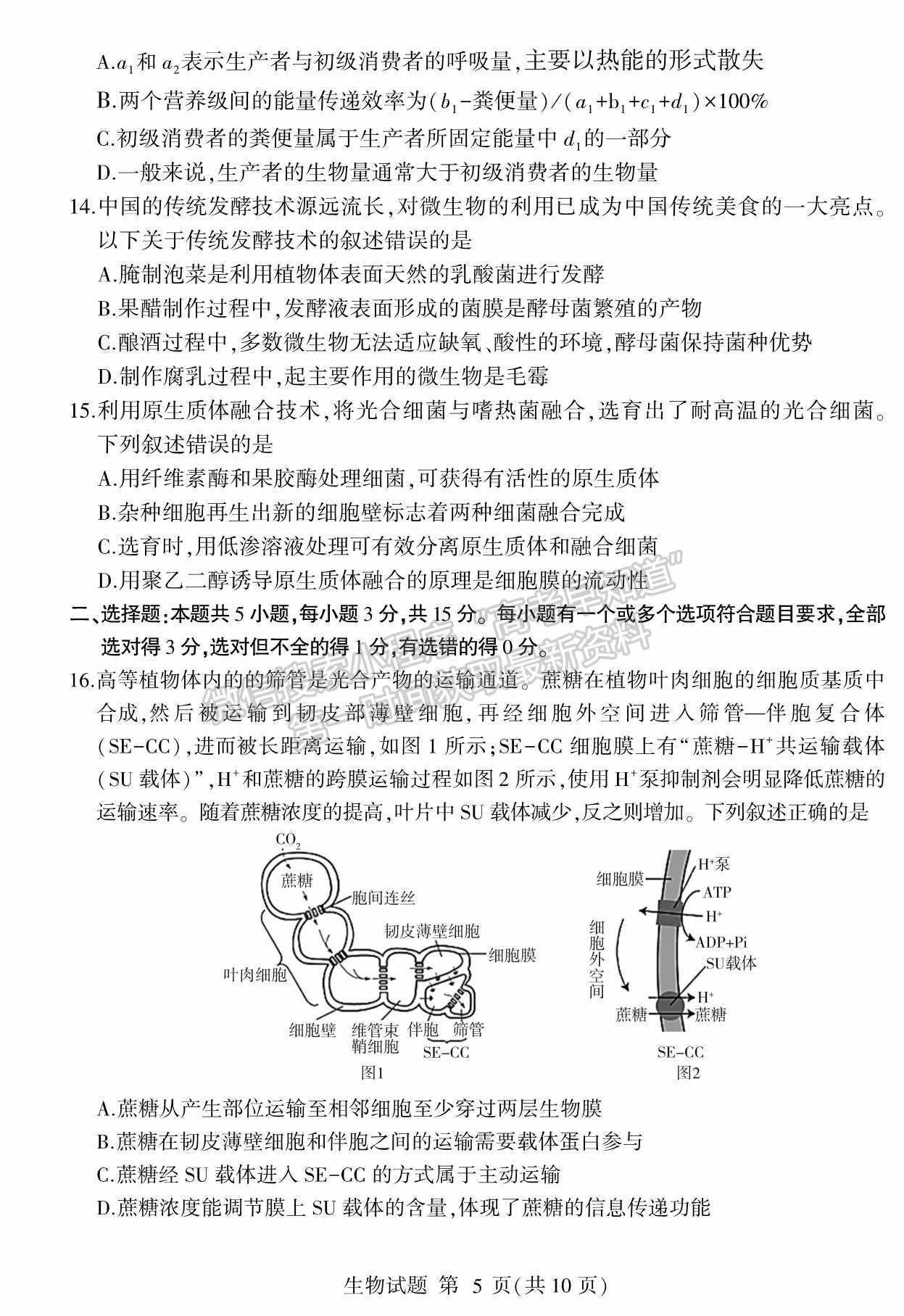 2022山東臨沂二模生物試題及參考答案