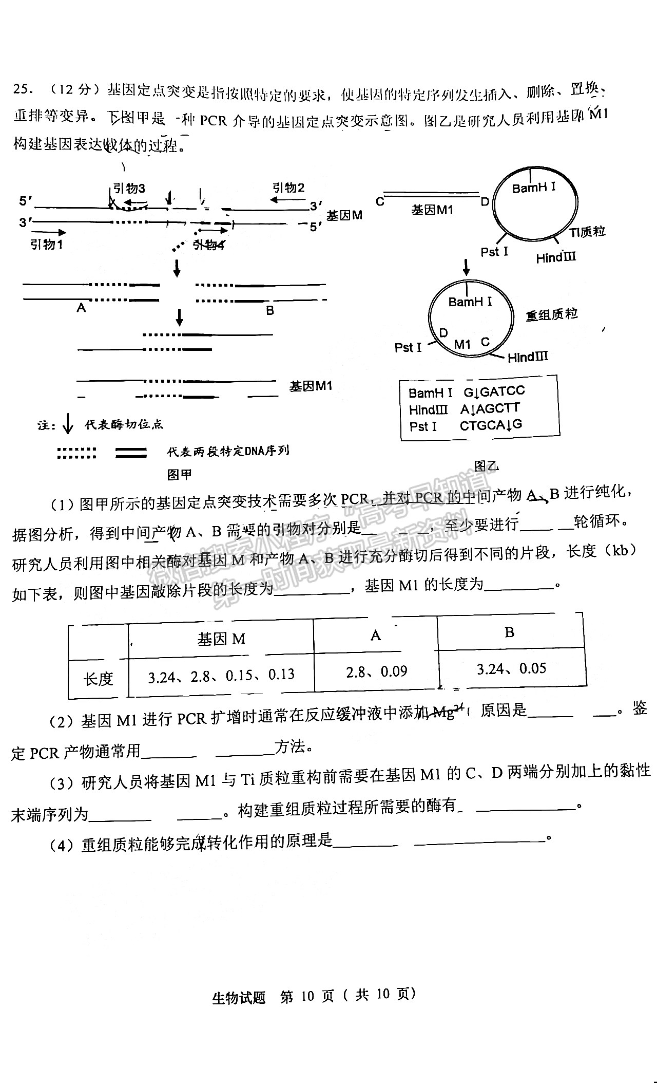 2022山東青島二模生物試題及參考答案