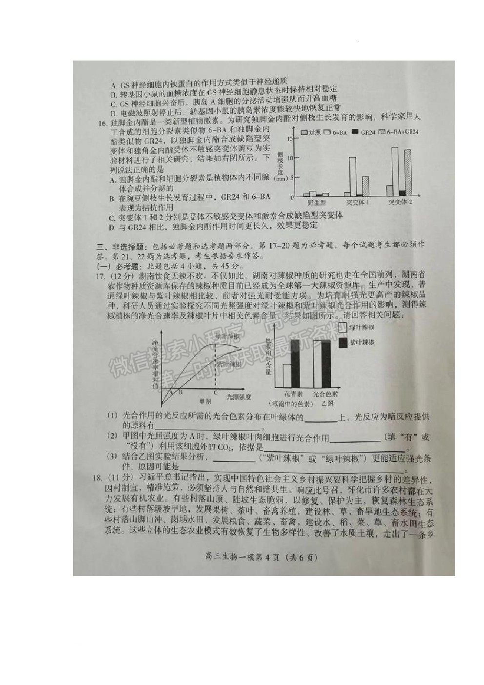 2022懷化一模生物試題及參考答案