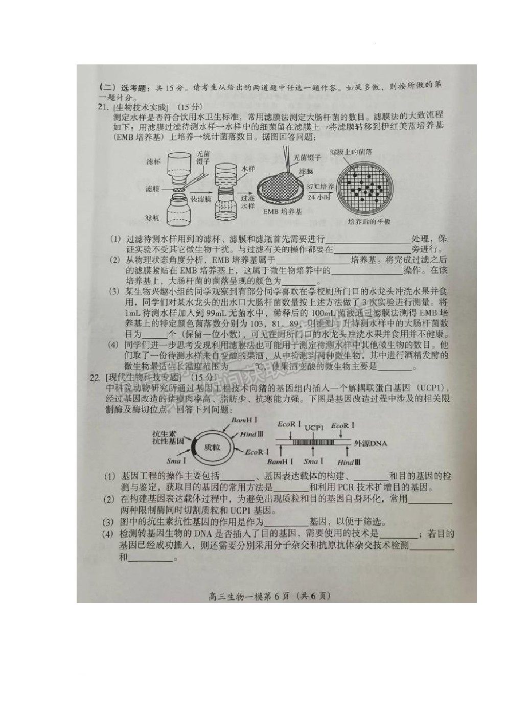 2022懷化一模生物試題及參考答案