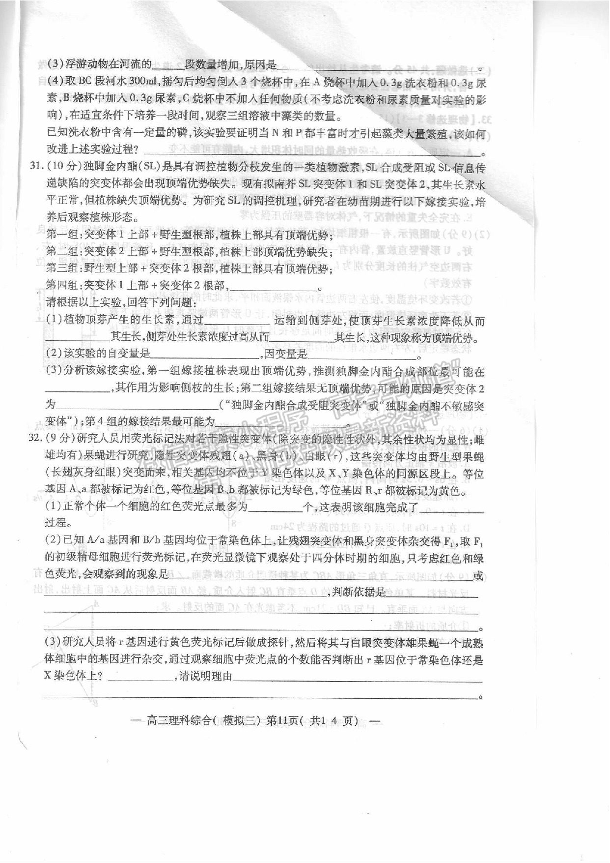 2022年江西省南昌市高三下學(xué)期三模理綜試卷及參考答案 