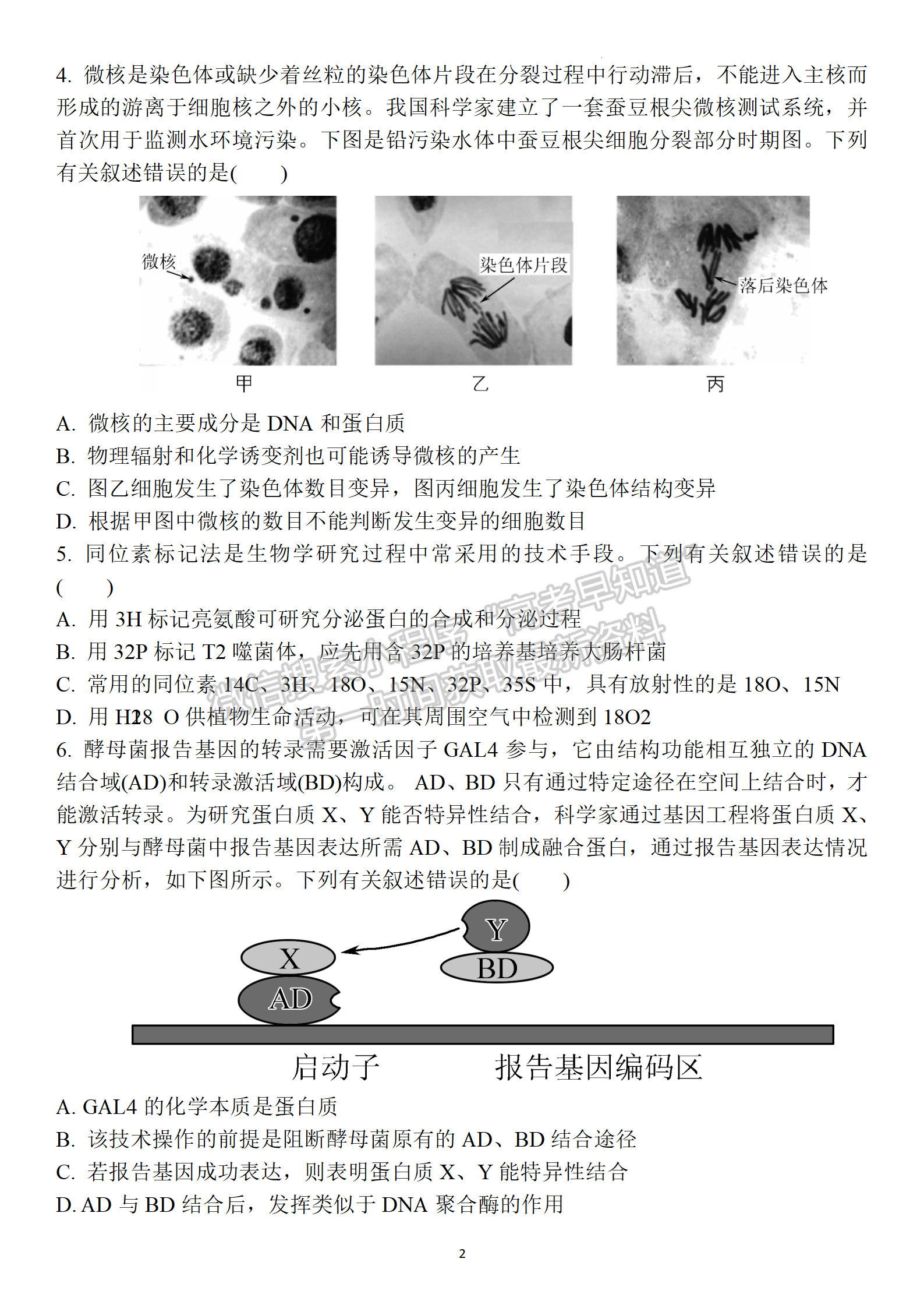 2022屆江蘇省鹽城三模生物試題及參考答案