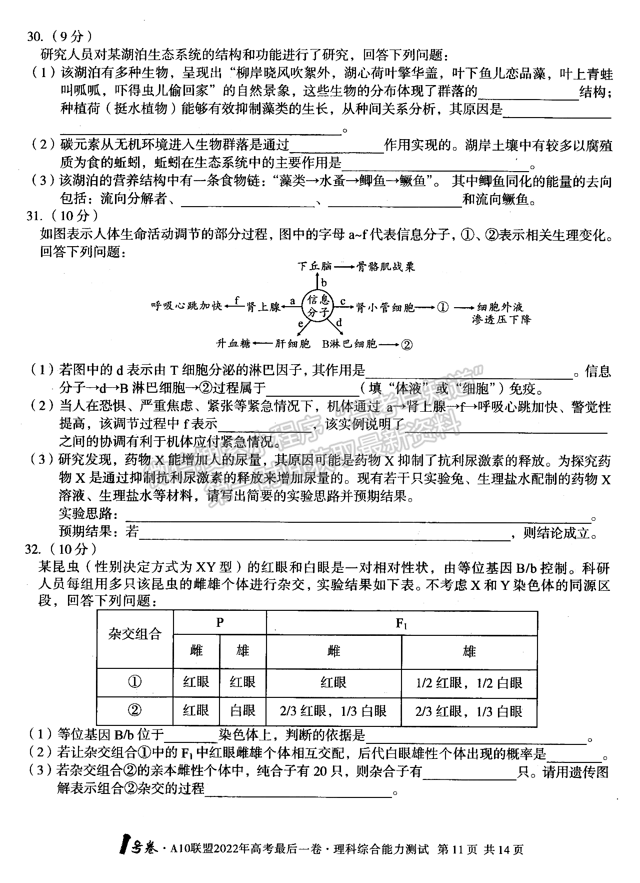 2022江西A10聯(lián)盟最后一卷理綜試卷及參考答案 