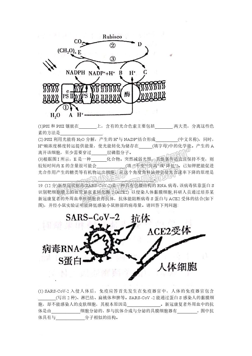 2022衡陽三模生物試題及參考答案