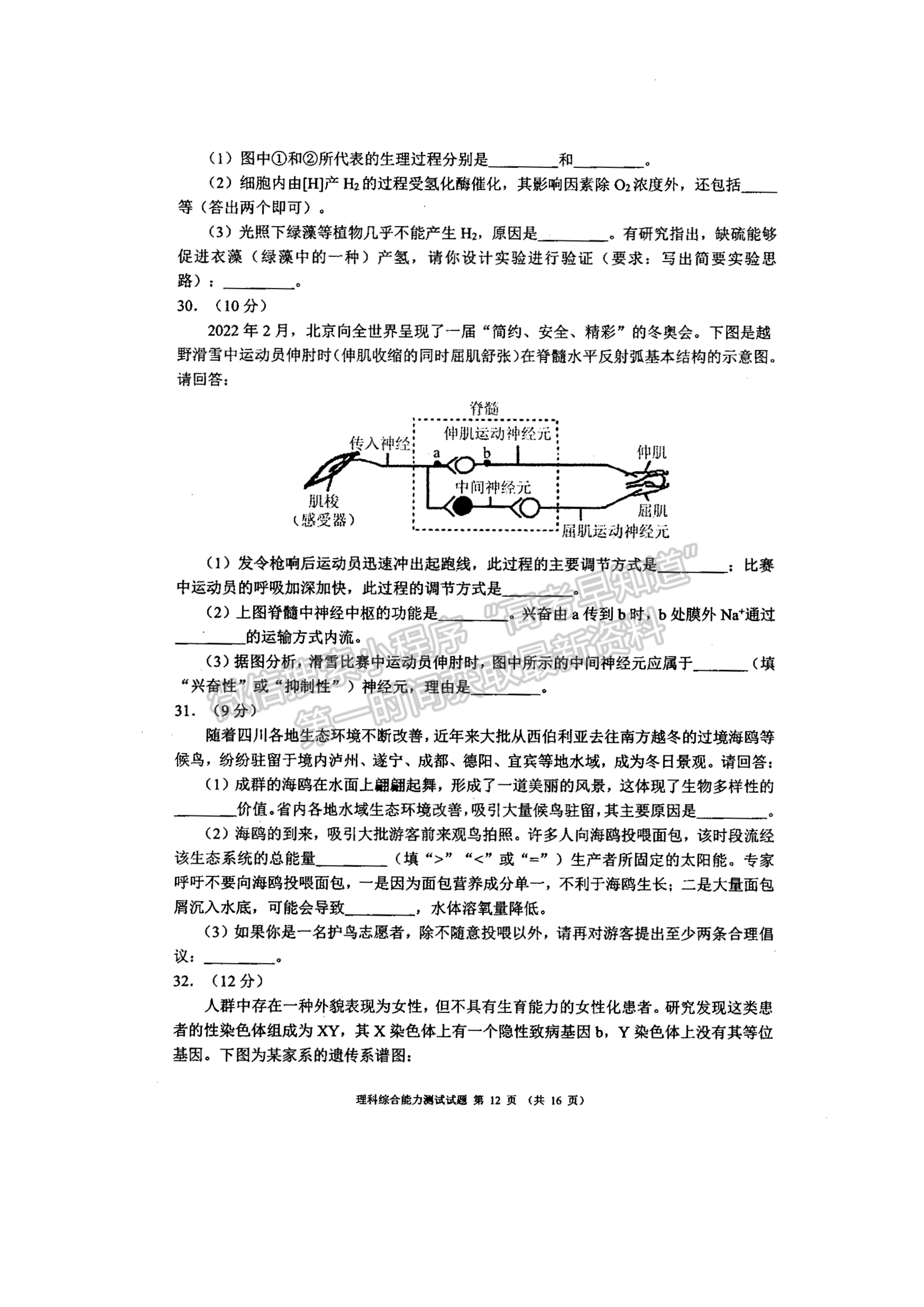 2022四川省大數(shù)據(jù)精準(zhǔn)教學(xué)聯(lián)盟2019級(jí)高三第二次統(tǒng)一監(jiān)測(cè)理科綜合試題及答案