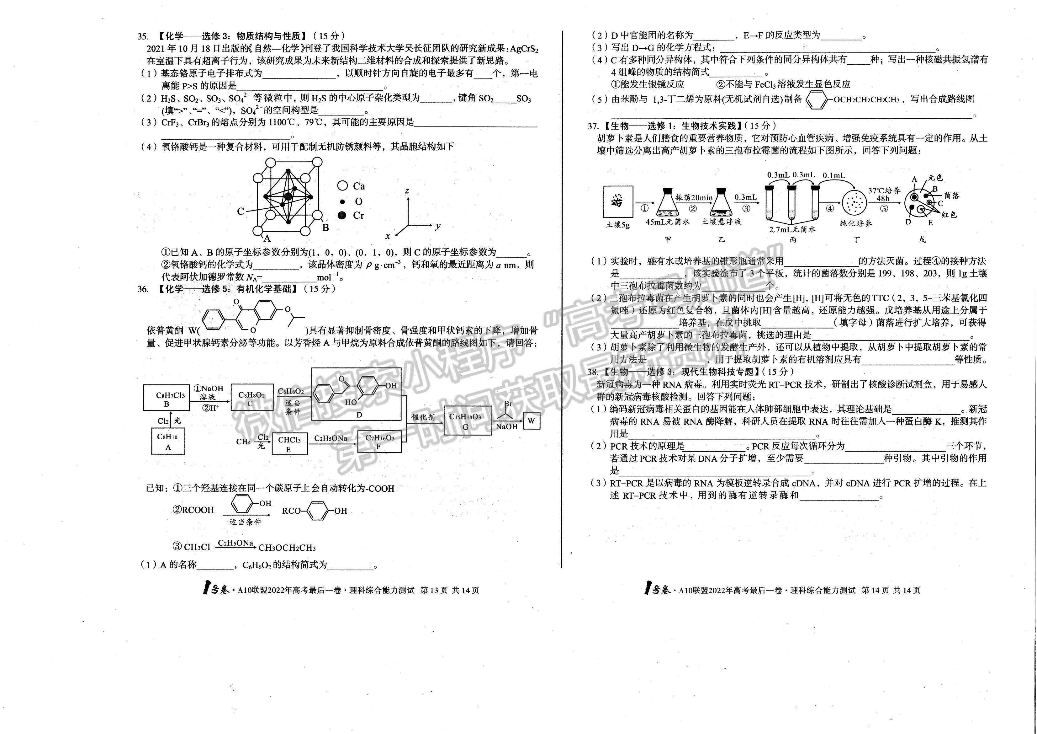 2022安徽A10聯(lián)盟最后一卷理綜試卷及答案